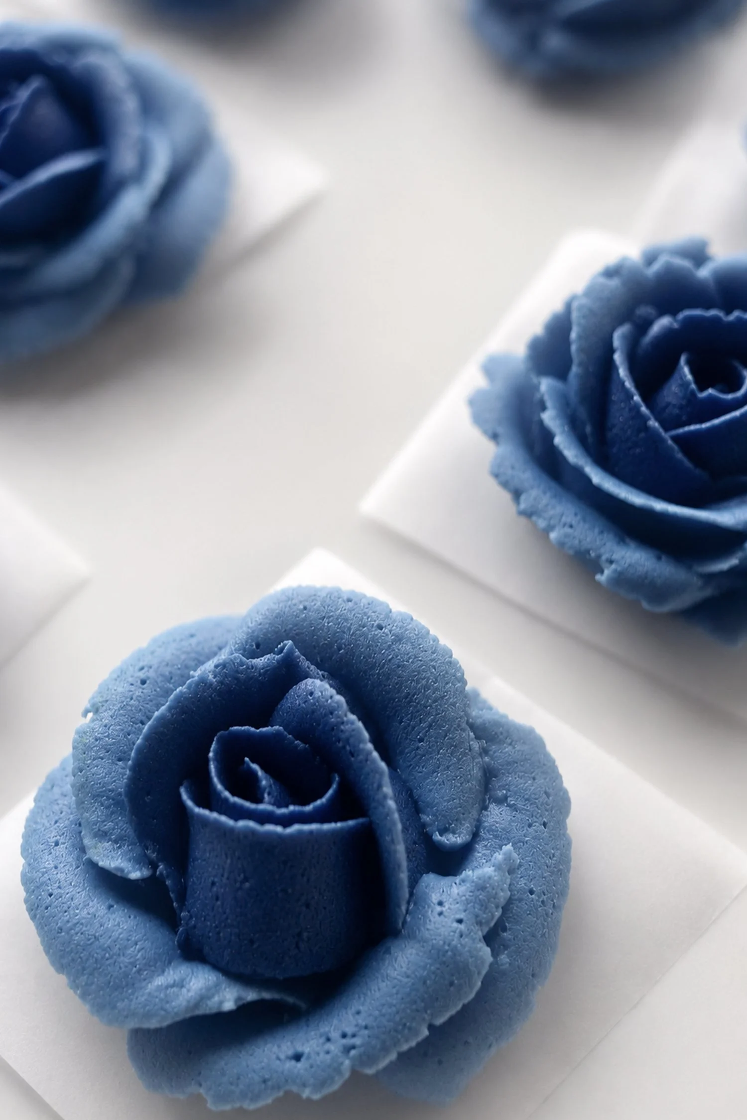 Rose Bouquet 8.jpg