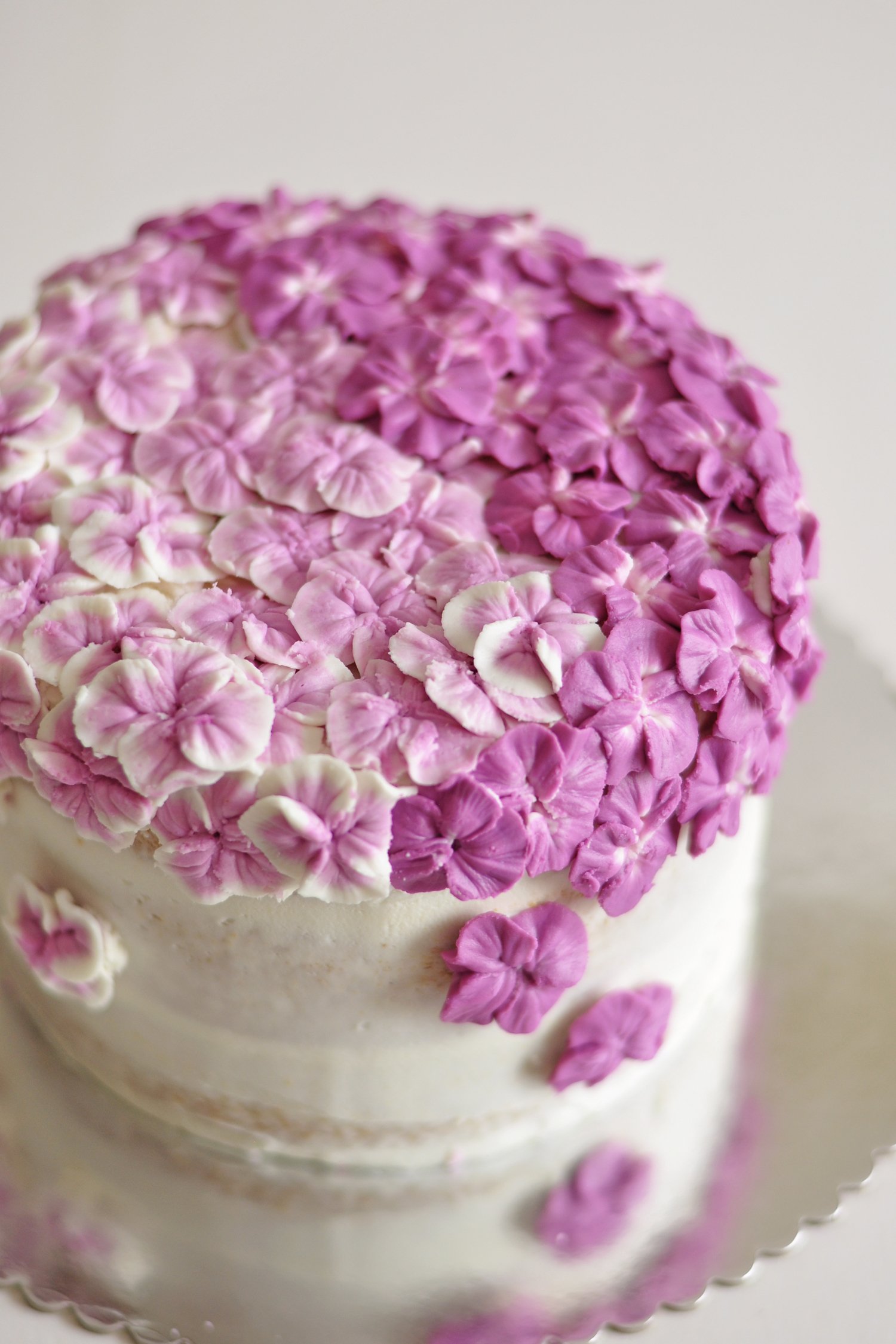 Hydrangea 2.jpg
