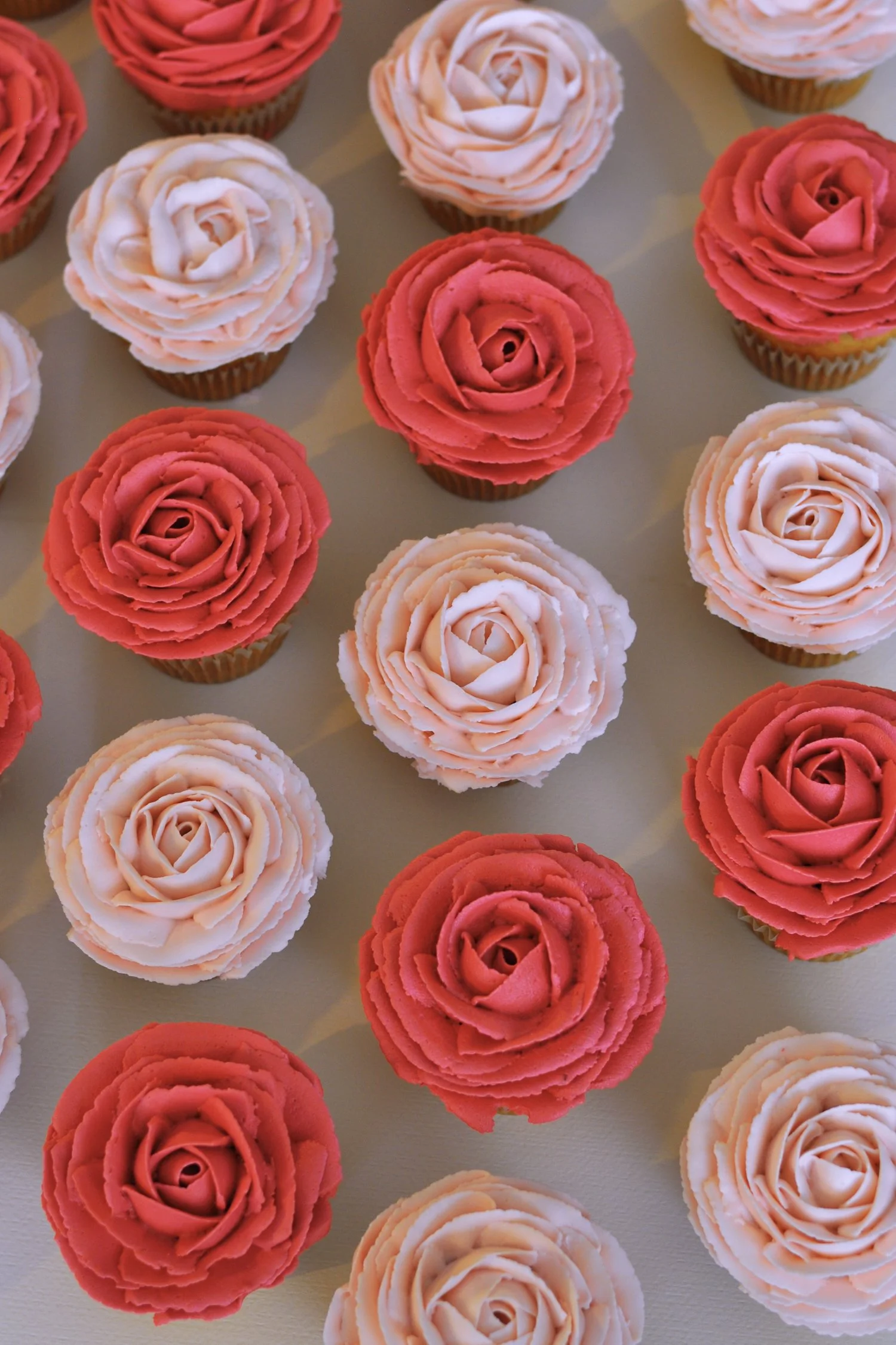 Rosas 2.jpg