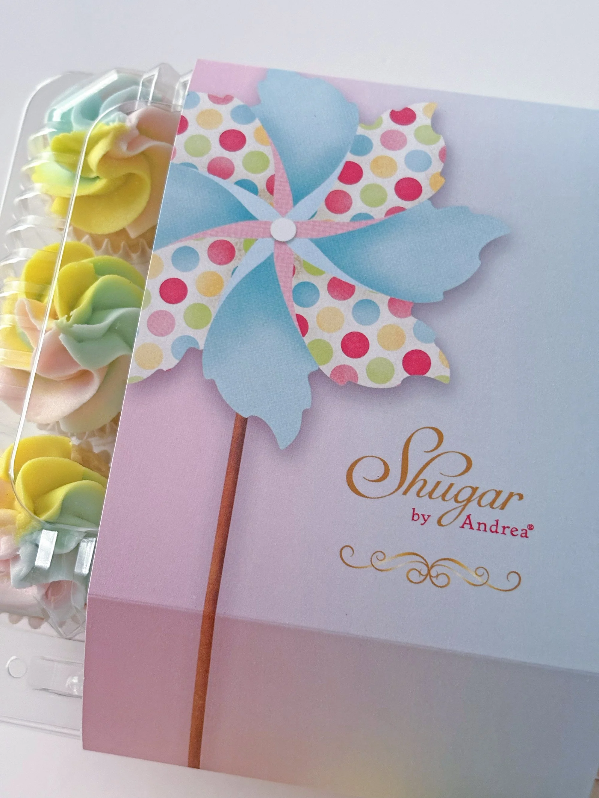 Caja Mini cupcakes Rainbow 4.jpg
