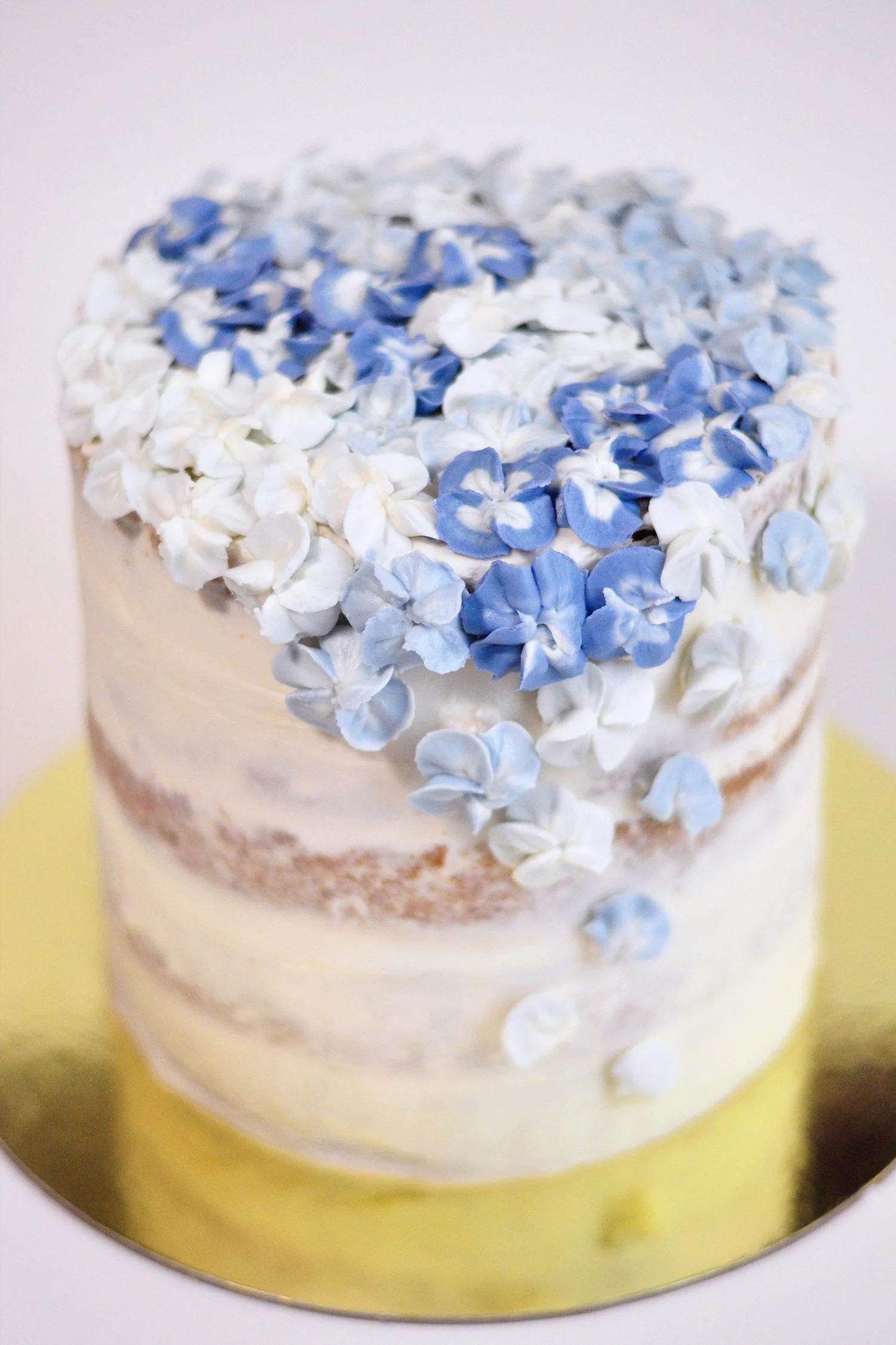 Hydrangea 9.jpg
