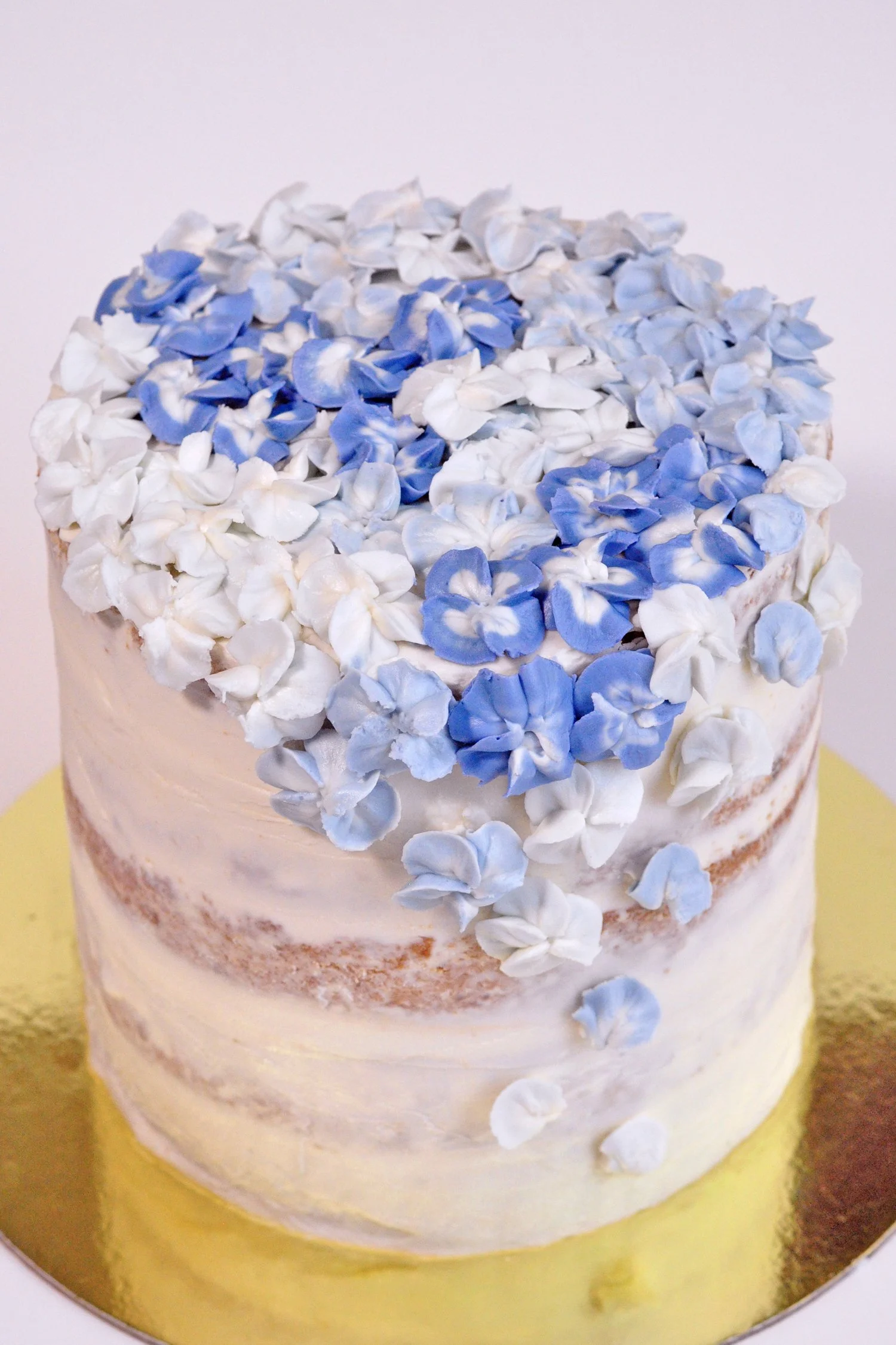 Hydrangea 4.jpg