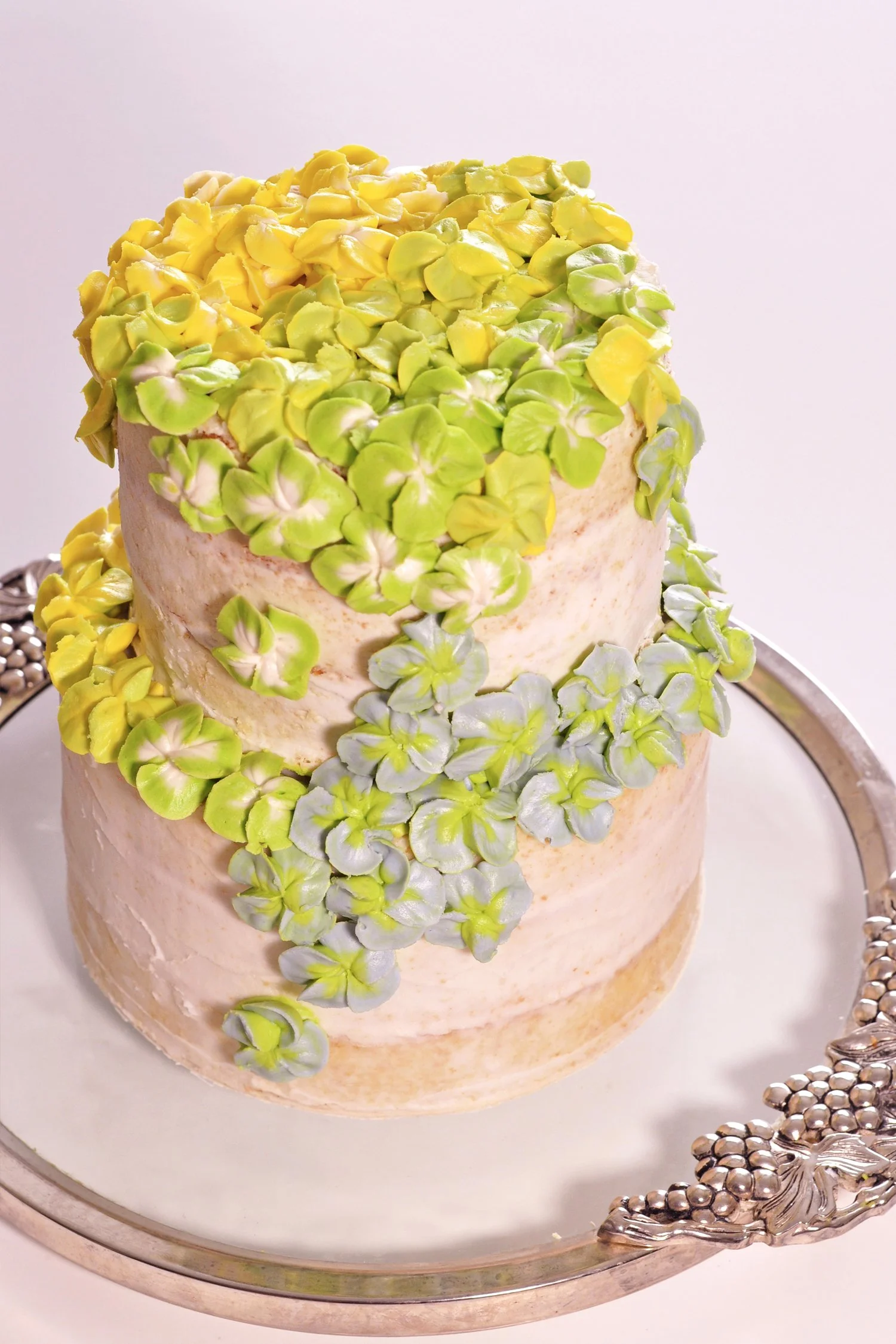 Hydrangea 6.jpg