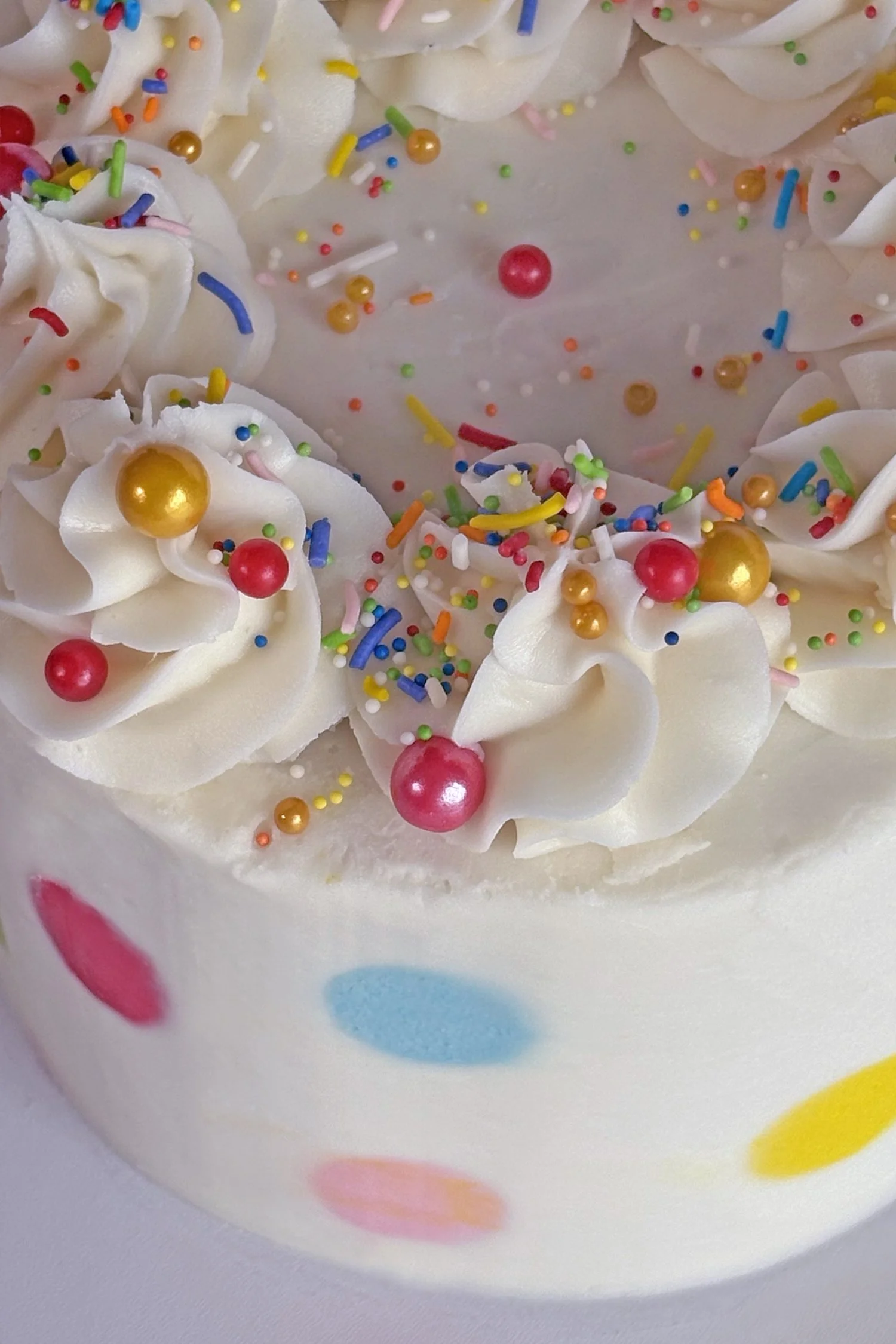 Circus Cake 3.jpg
