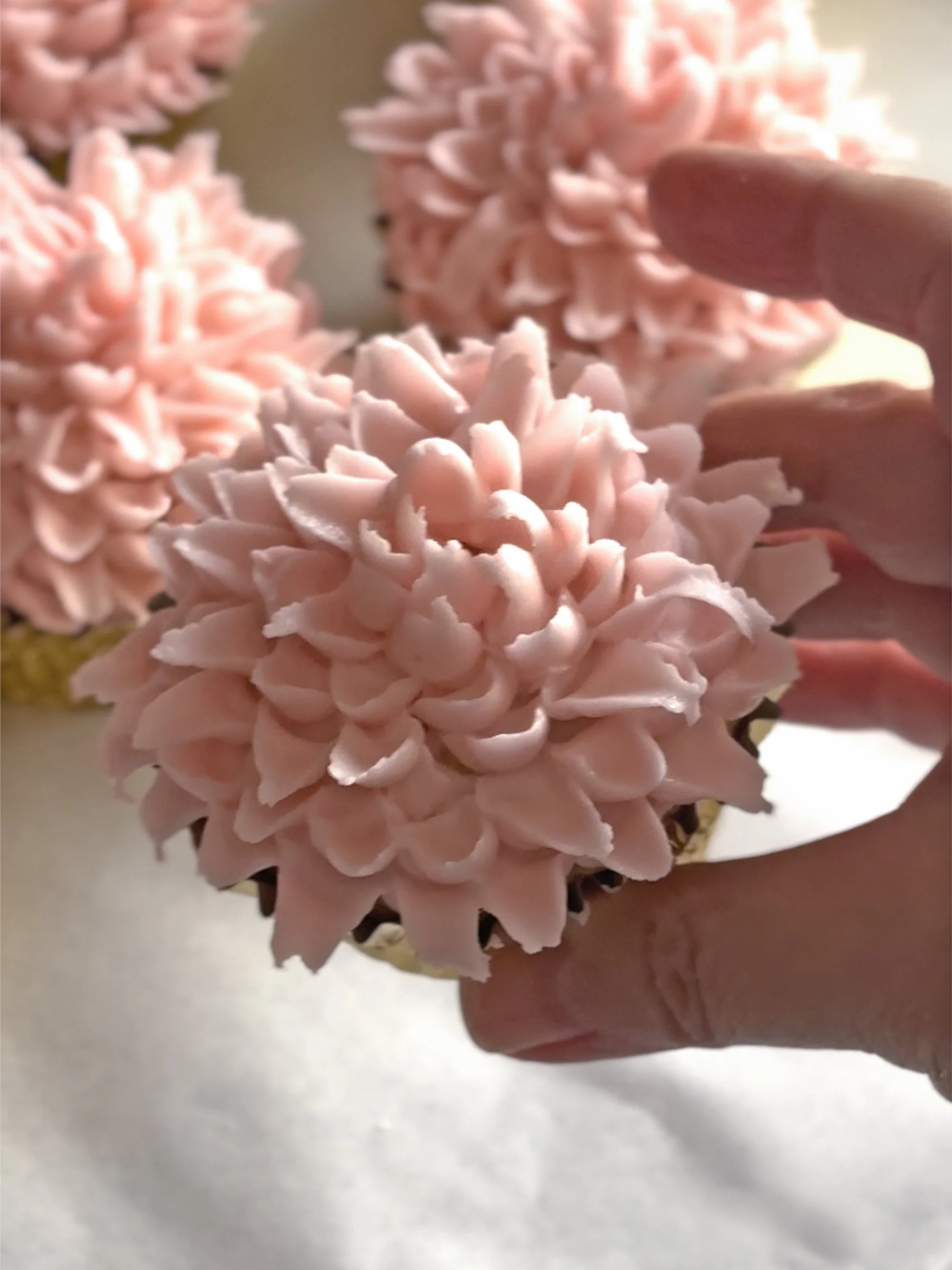 Cupcakes Dahlia 7.jpg