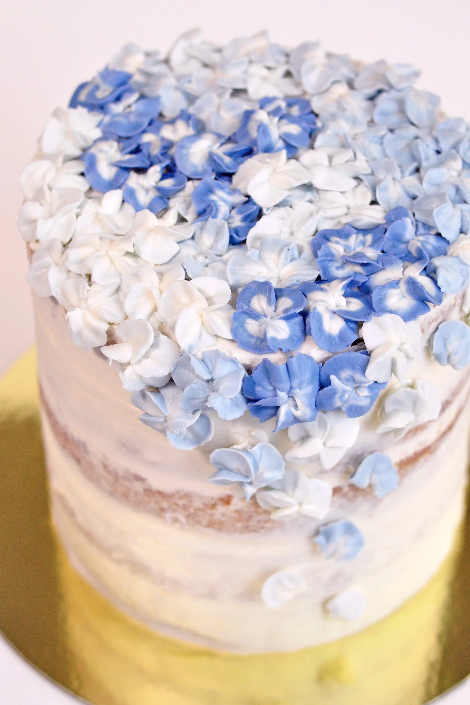 Hydrangea 5.jpg