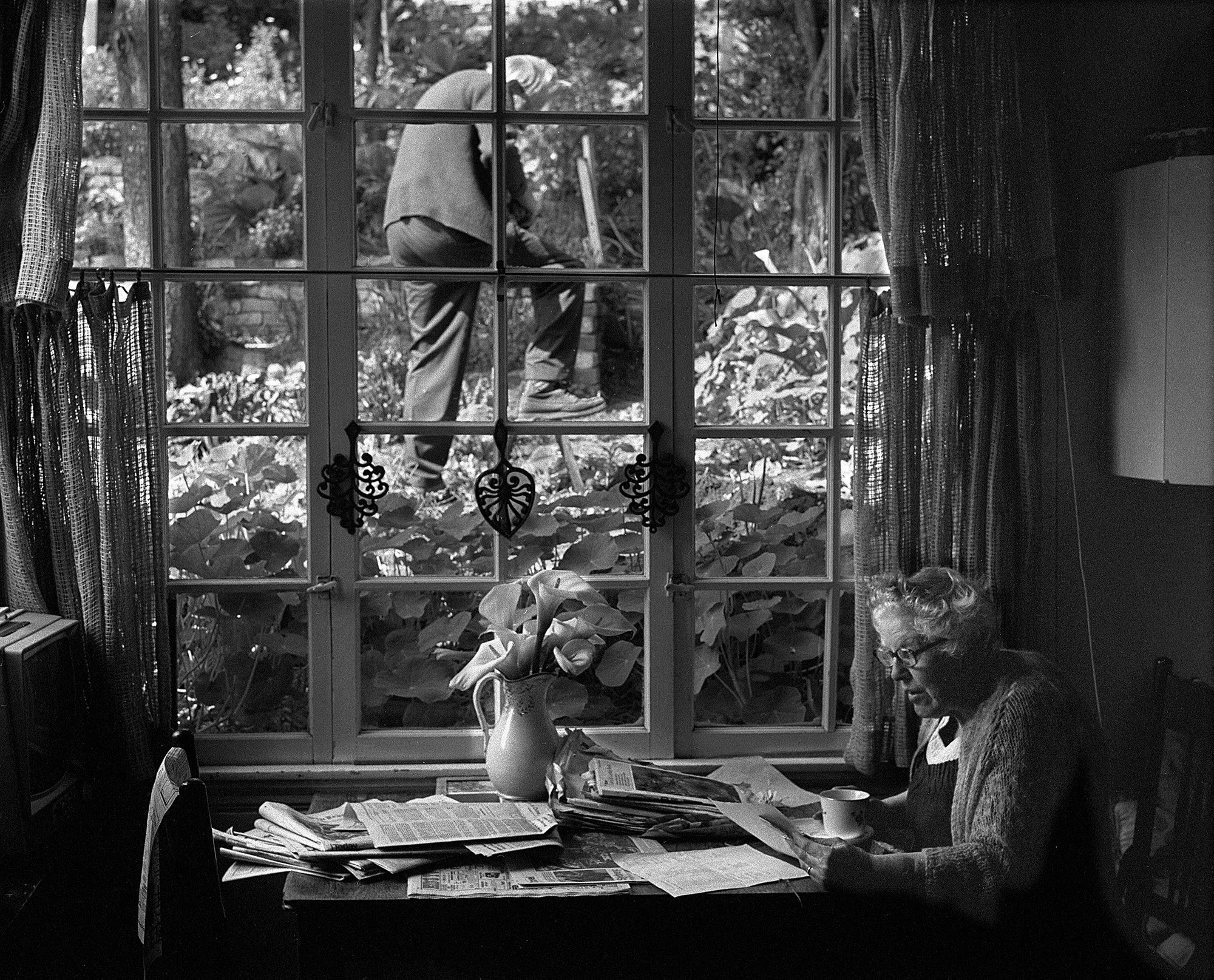 51 Kitchen + yard 1983B flat darkersm.jpg