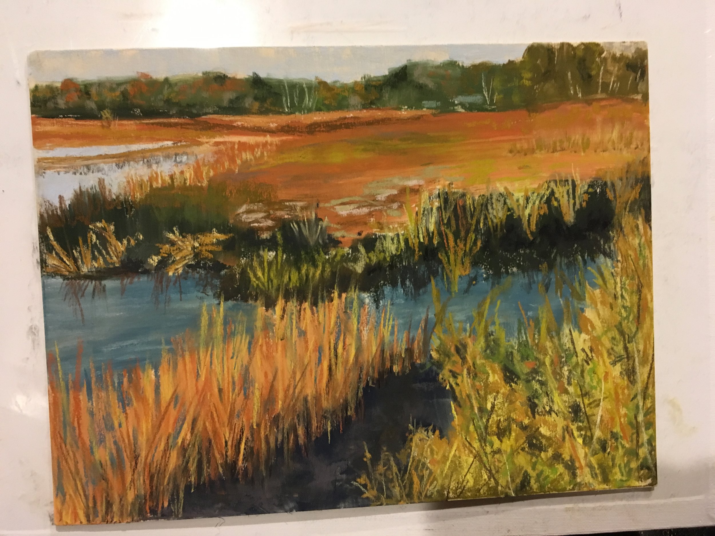 Marshland