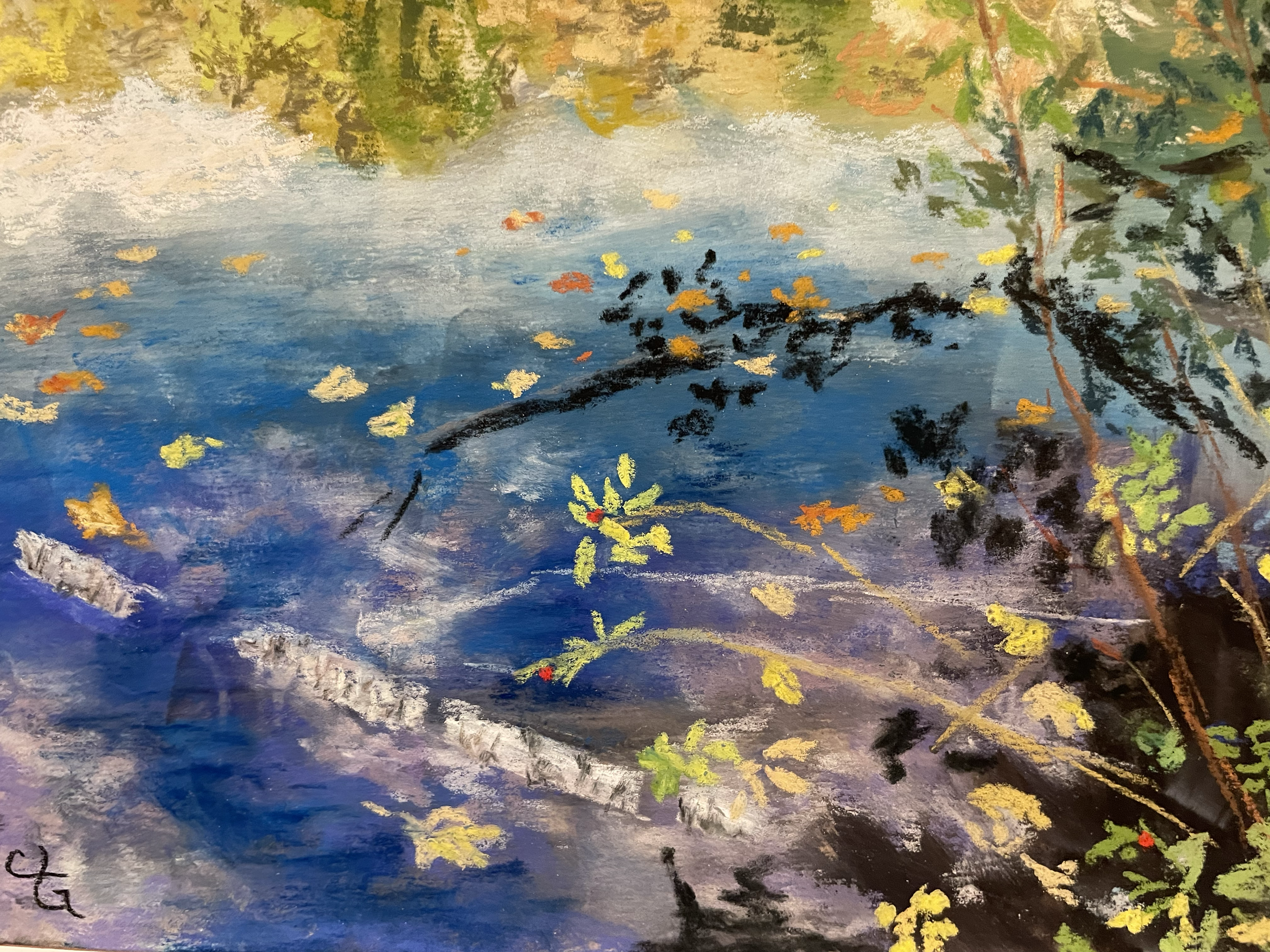 Secret Pond