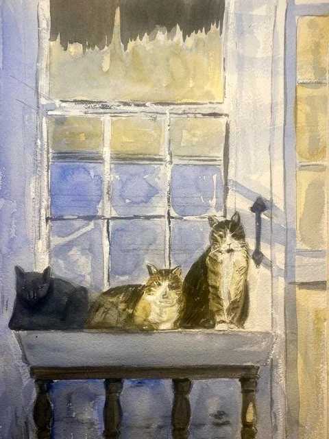 Cats