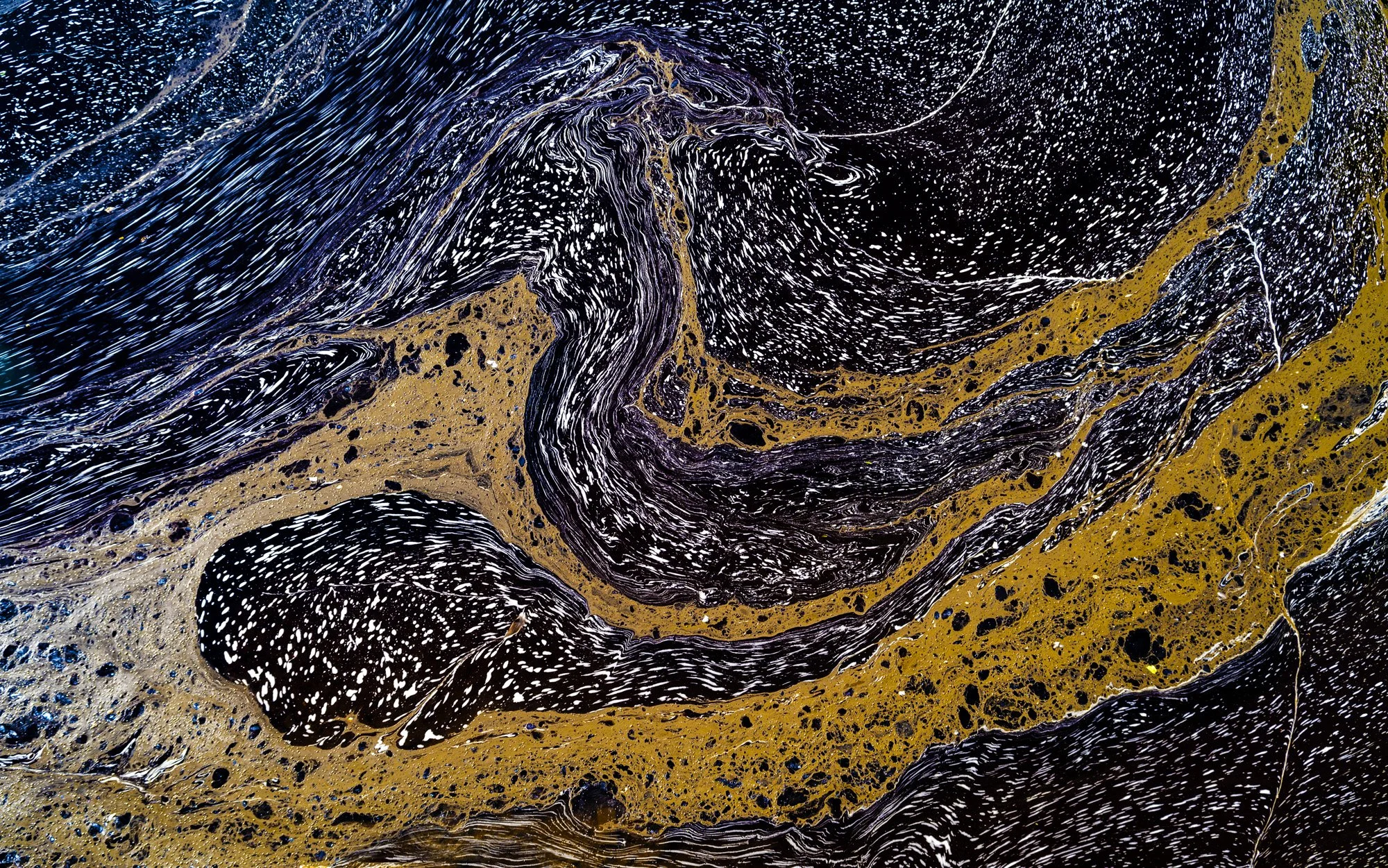 Pollen Flow 1