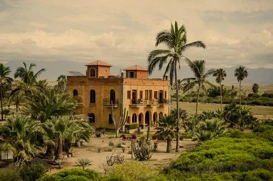 A large, multi-story desert-style house with arched windows, surrounded by palm trees and desert plants.