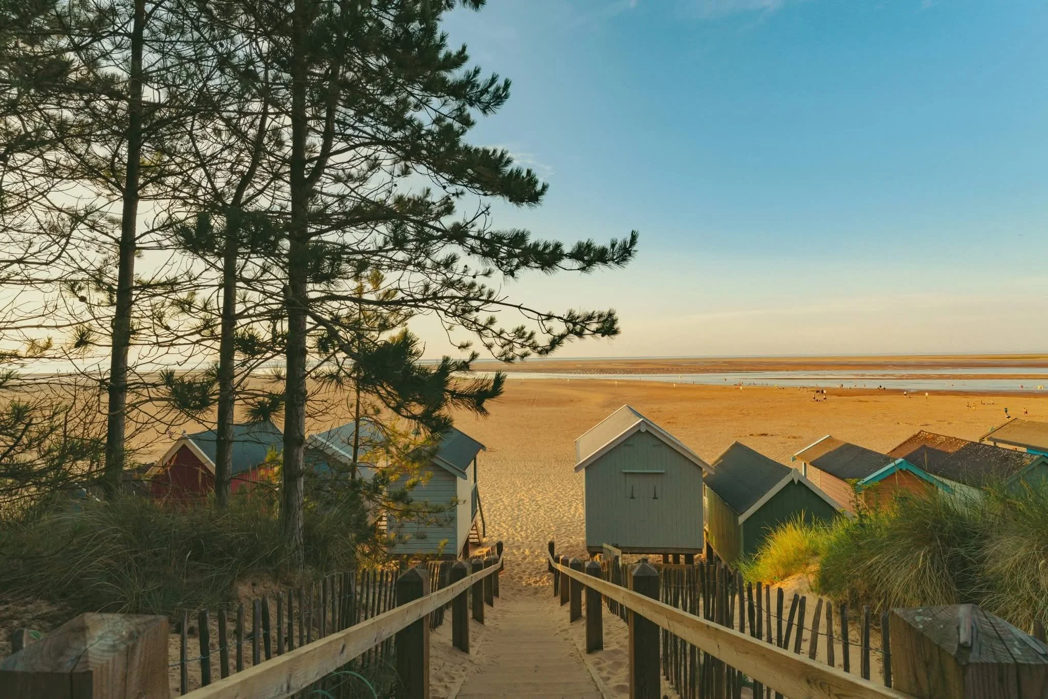 Wooden stairs leading down to a sandy beach with small colorful beach huts and a vast ocean in the background. Tall pine trees frame the scene on the left.
