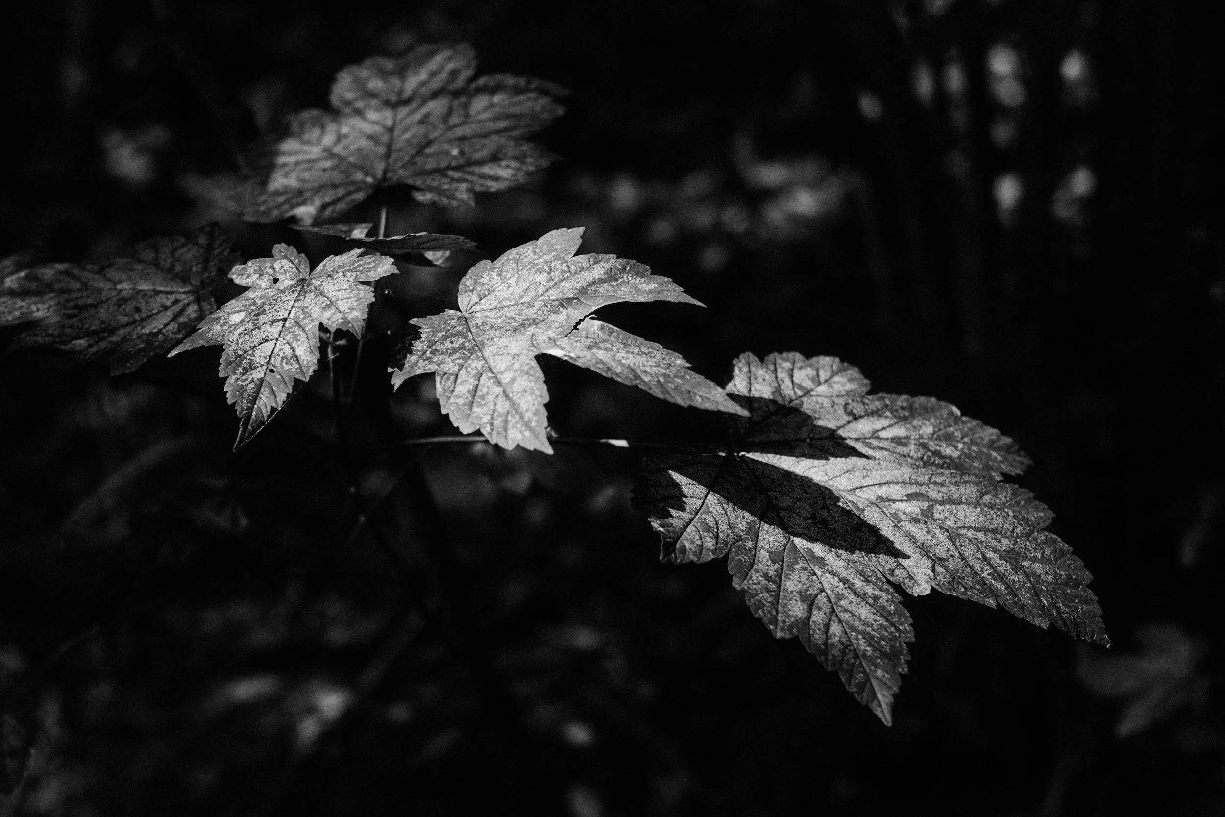 Aug 07 2025 2.jpg
