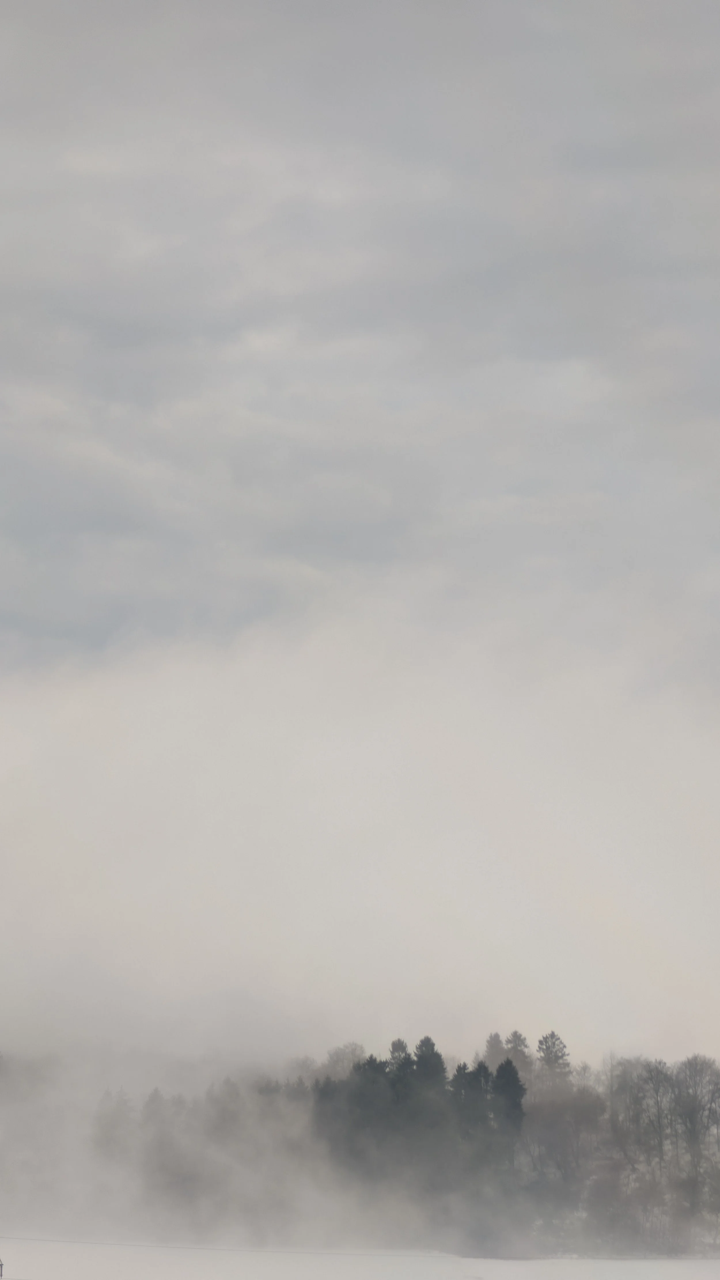 Ein nebliger Tag mit dichtem Wolkenhimmel über einer Baumlinie im Tal, umgeben von Nebel.