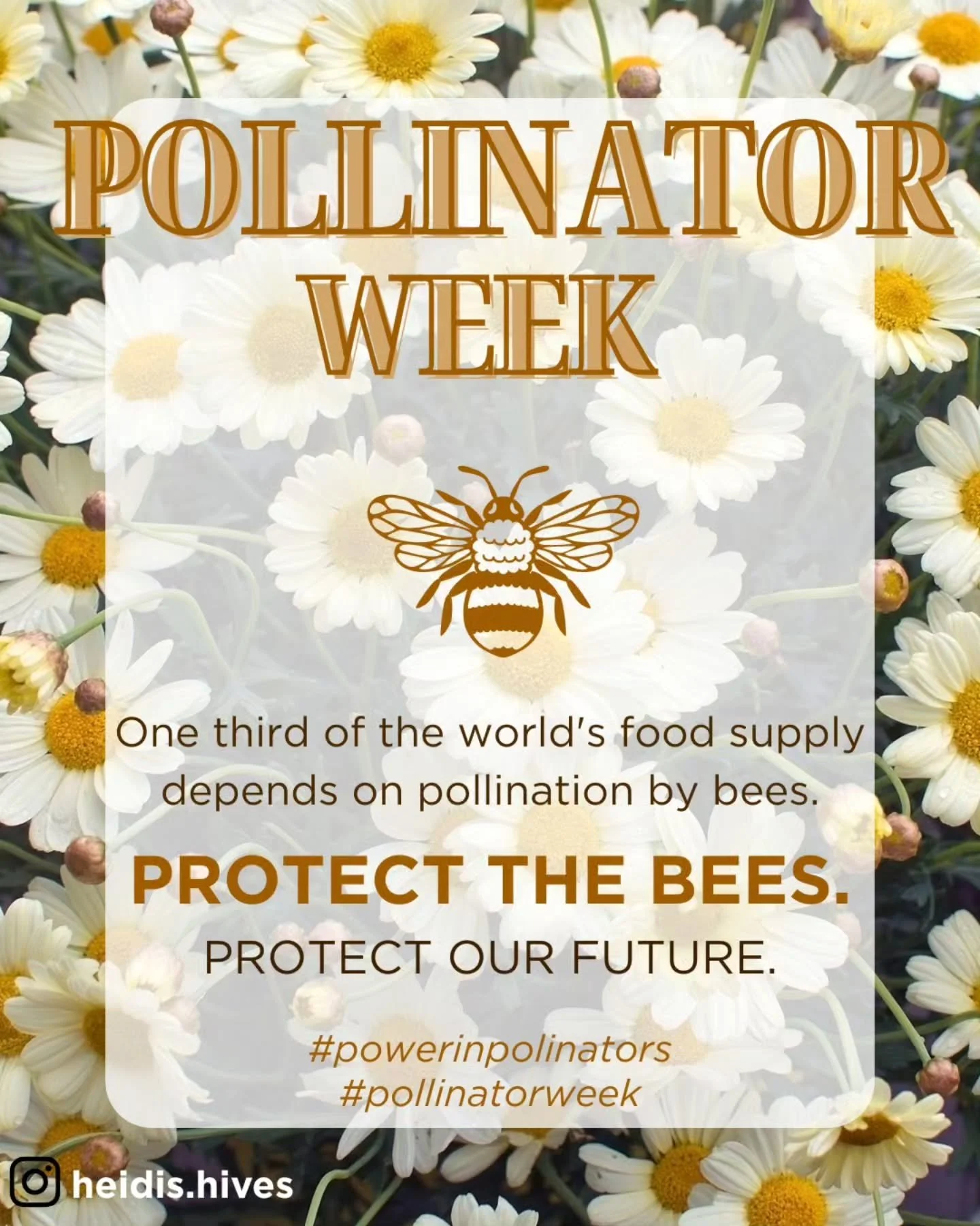 It's Pollinator Week!! 🐝🦋

Each day this week I'll be posting a fun fact about the importance of pollinators, best plants for those Midwest gardeners, and more!!

#powerinpollinators #pollinator #savethebees