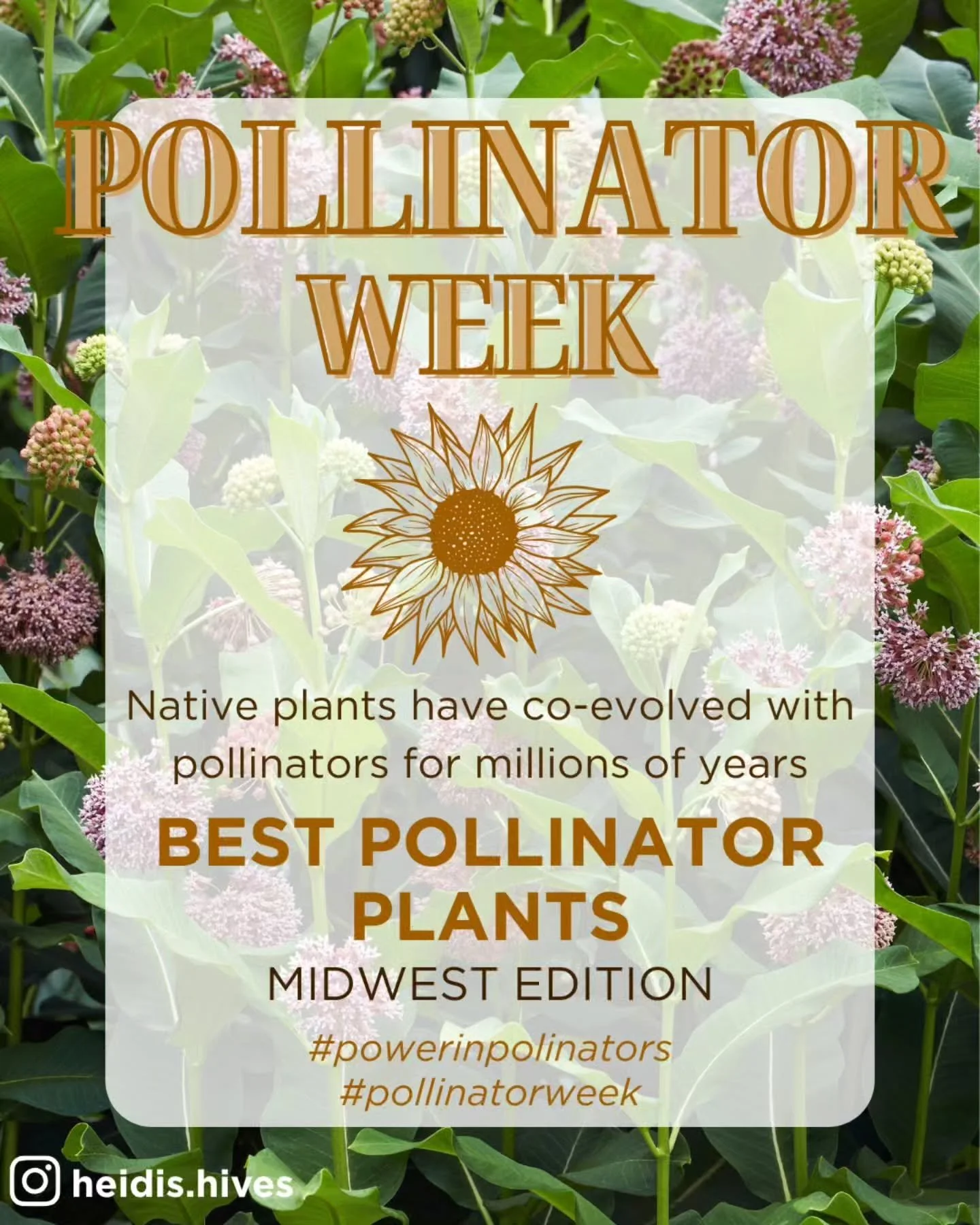 It's Pollinator Week!! 🐝🦋

I'll be the first one to admit that I don't have a green thumb. That's where my husband comes in, his addiction to @gertens_ , constant research on what plants are best for our region and now his new sales pitch, "it