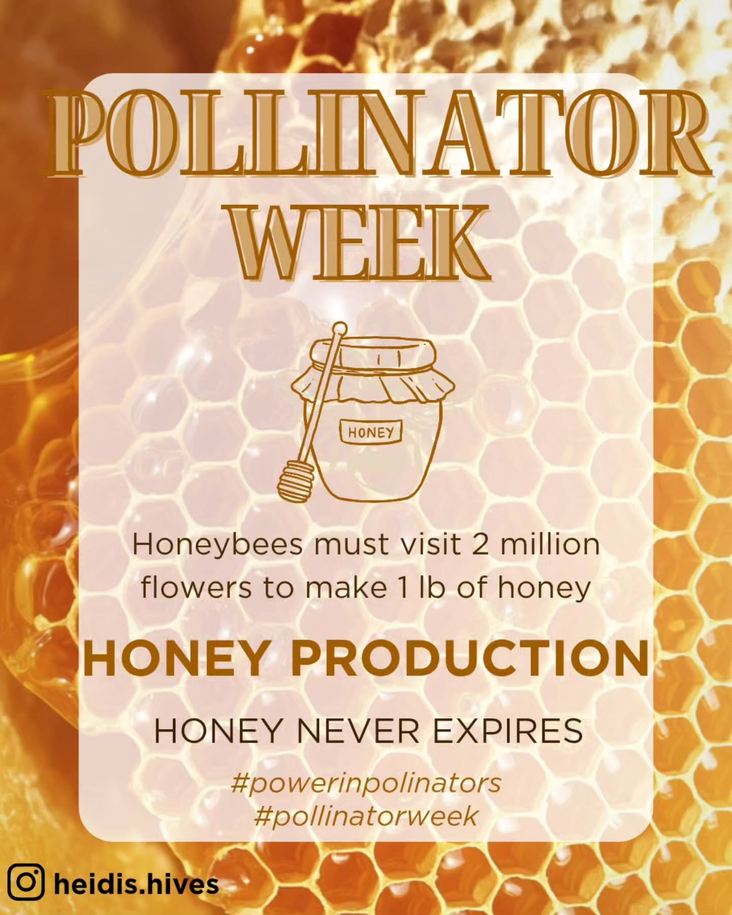 Happy Pollinator Week!

Did you know you can use honey as a sugar substitute? 

I use it daily in my coffee. Gotta thank those bees for keeping me buzzin' ☕ 

#pollinatorweek #powerinpollinators #savethebees #savethebees🐝