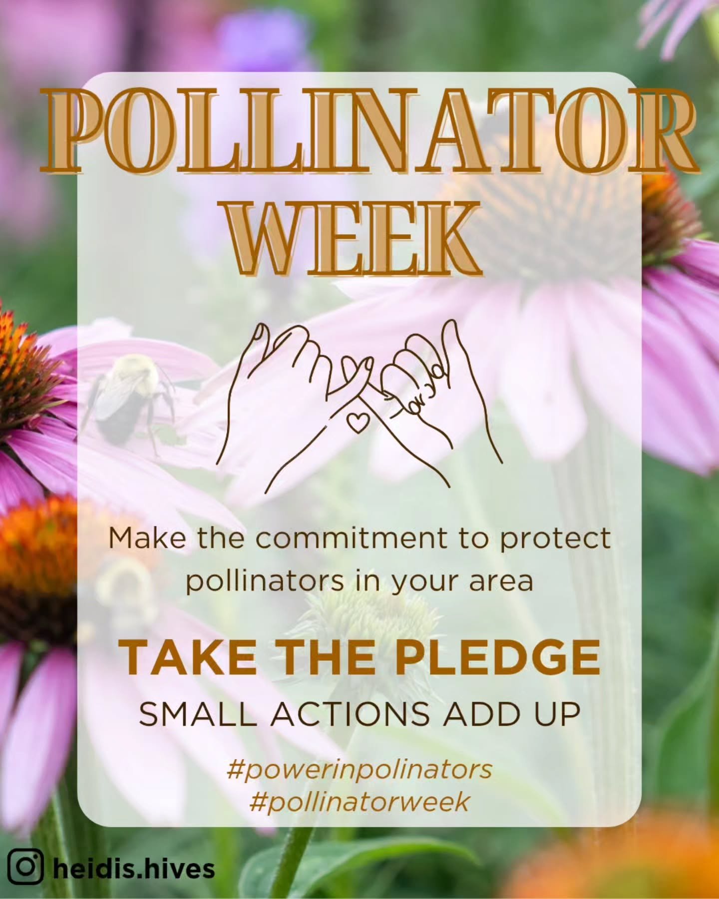 It's my final post for Pollinator Week.

When I became a beekeeper earlier this year, I didn't fully understand just how vital bees and other pollinators are to our world. They do so much more than make honey&mdash;they help sustain our food supply, 