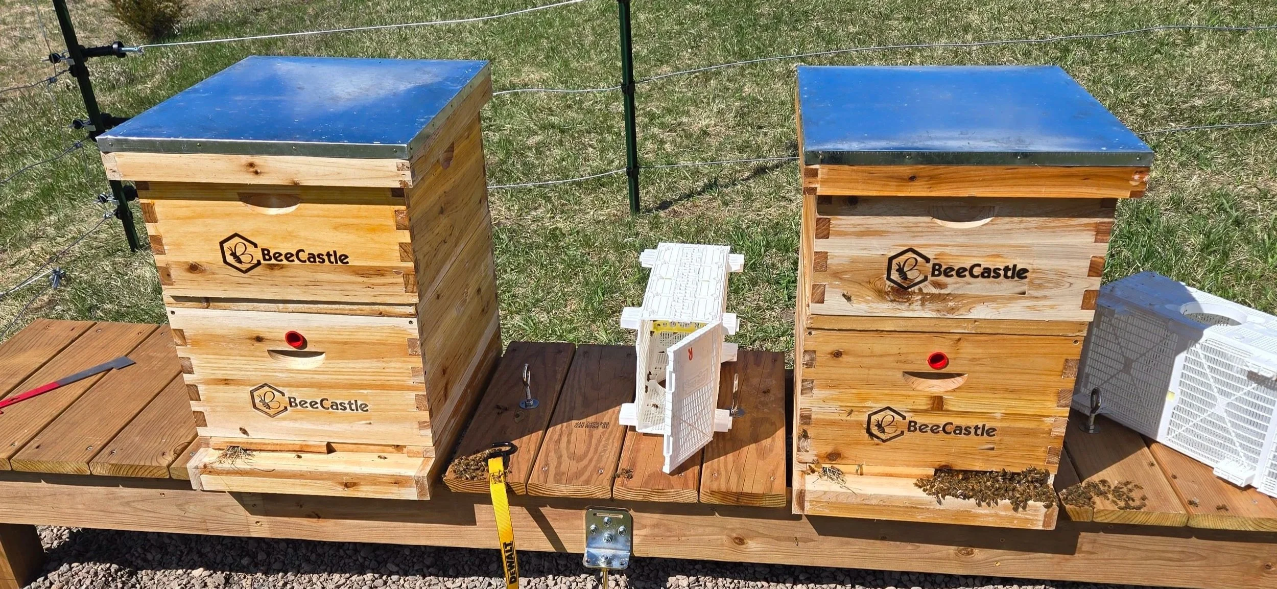 Two wooden beehives with metal roofs labeled 'BeeCastle' are situated on a wooden platform outdoors, with a small entrance hole and some bees near the bottom.