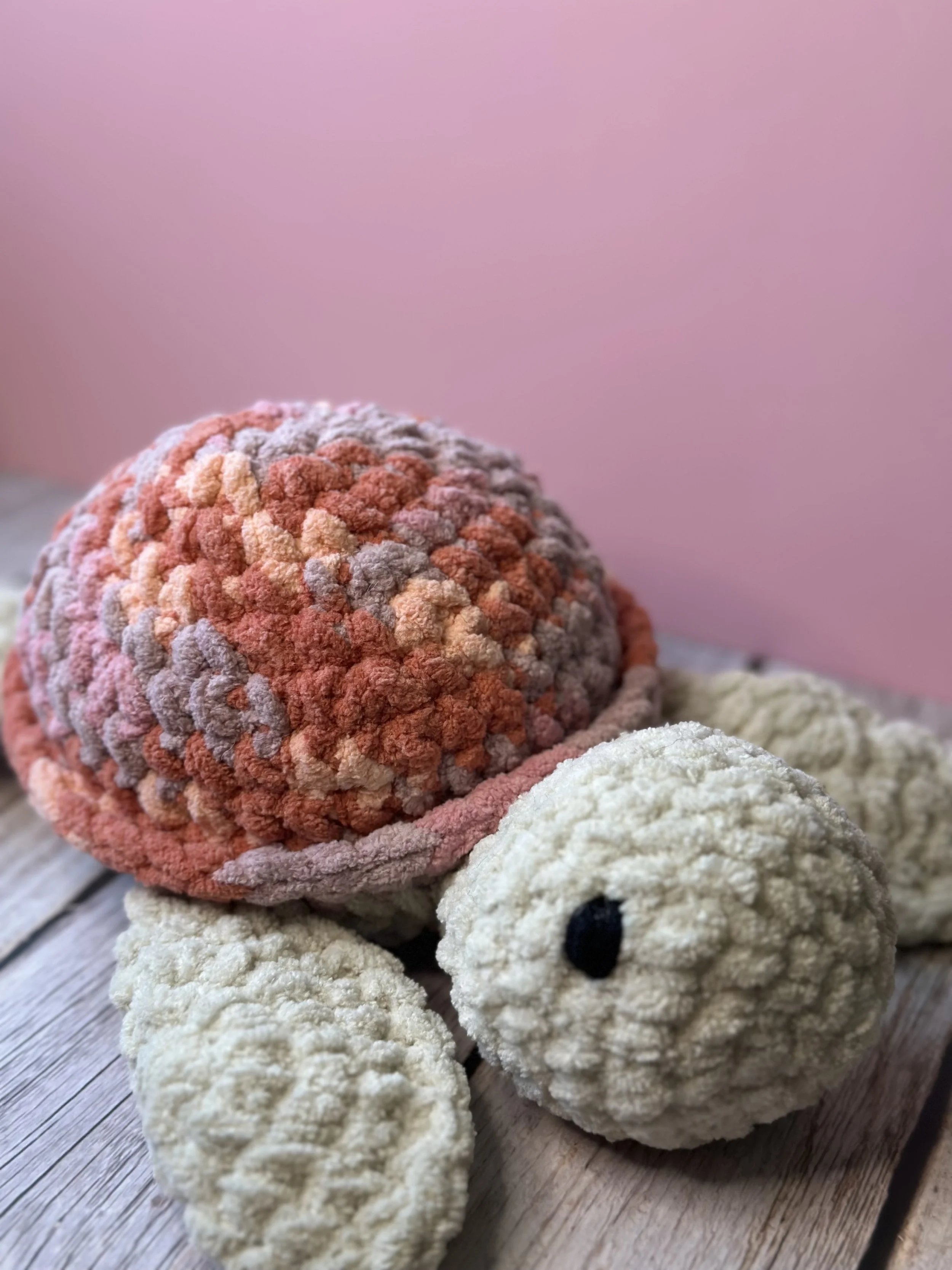 Pink Turtle (1).jpeg