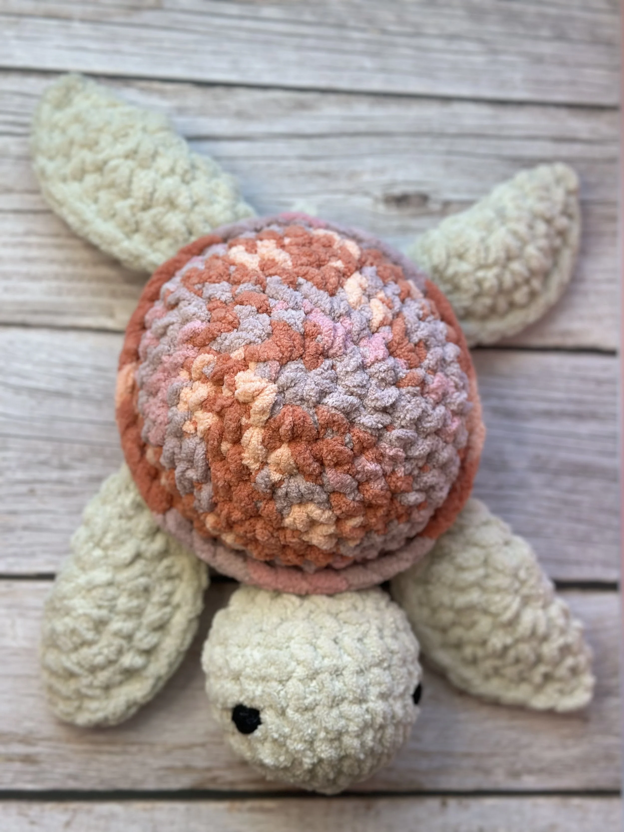 Pink Turtle (2).jpeg