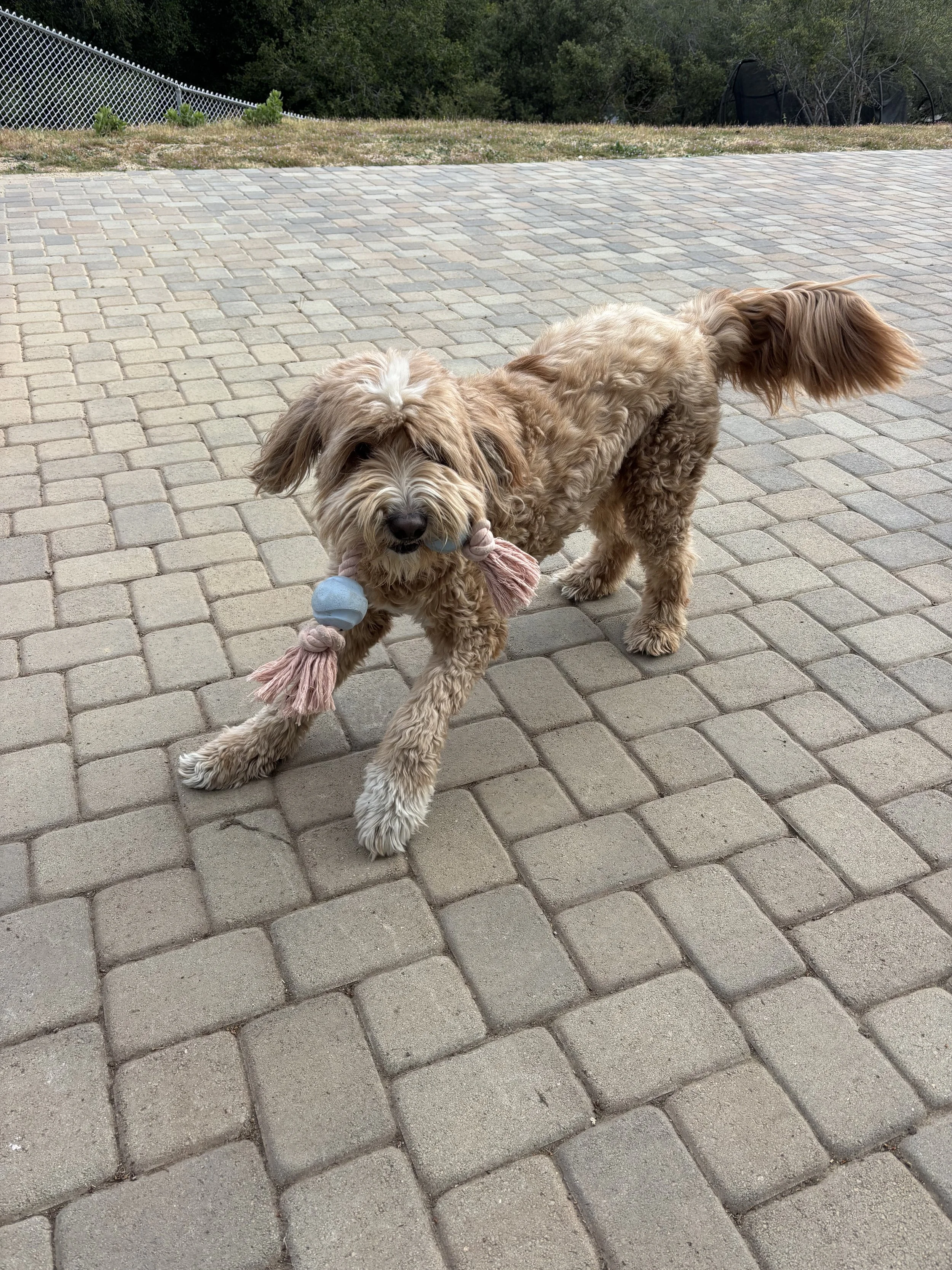 IMG_3565.jpeg