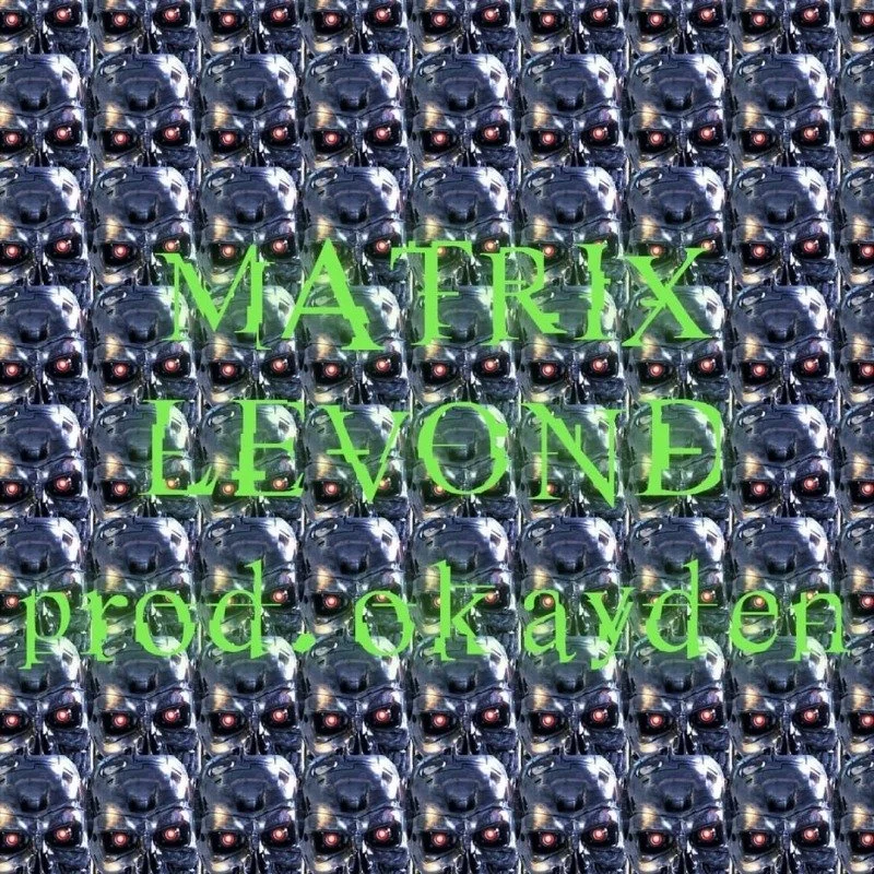The Matrix (Okayden Mix)