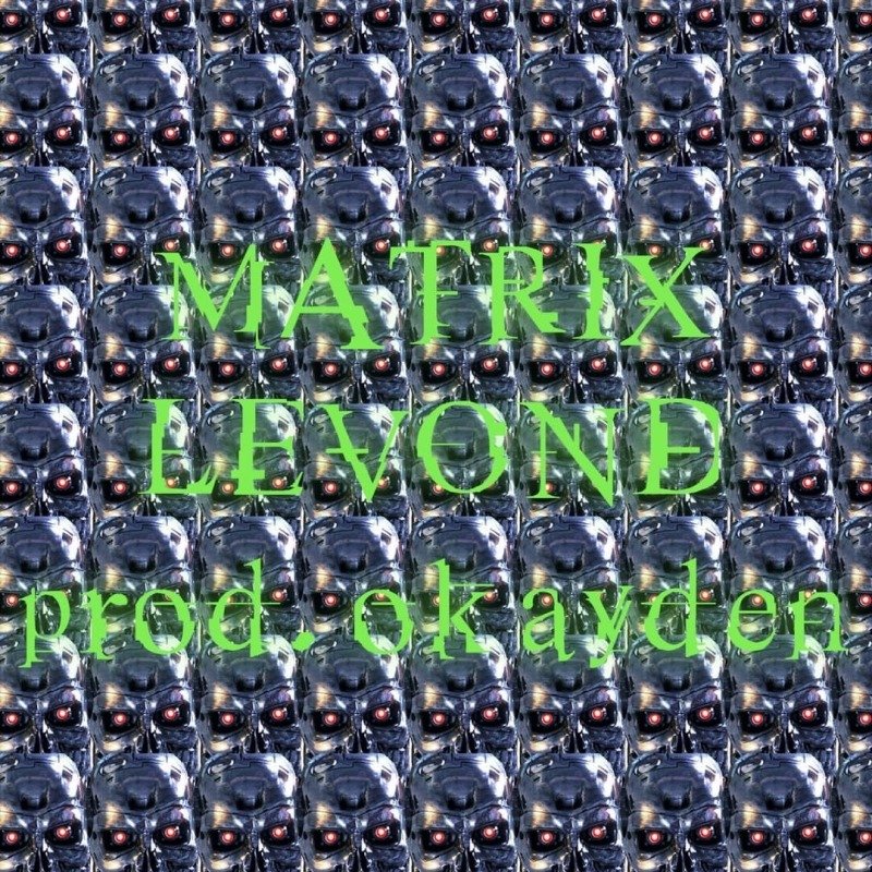 The Matrix