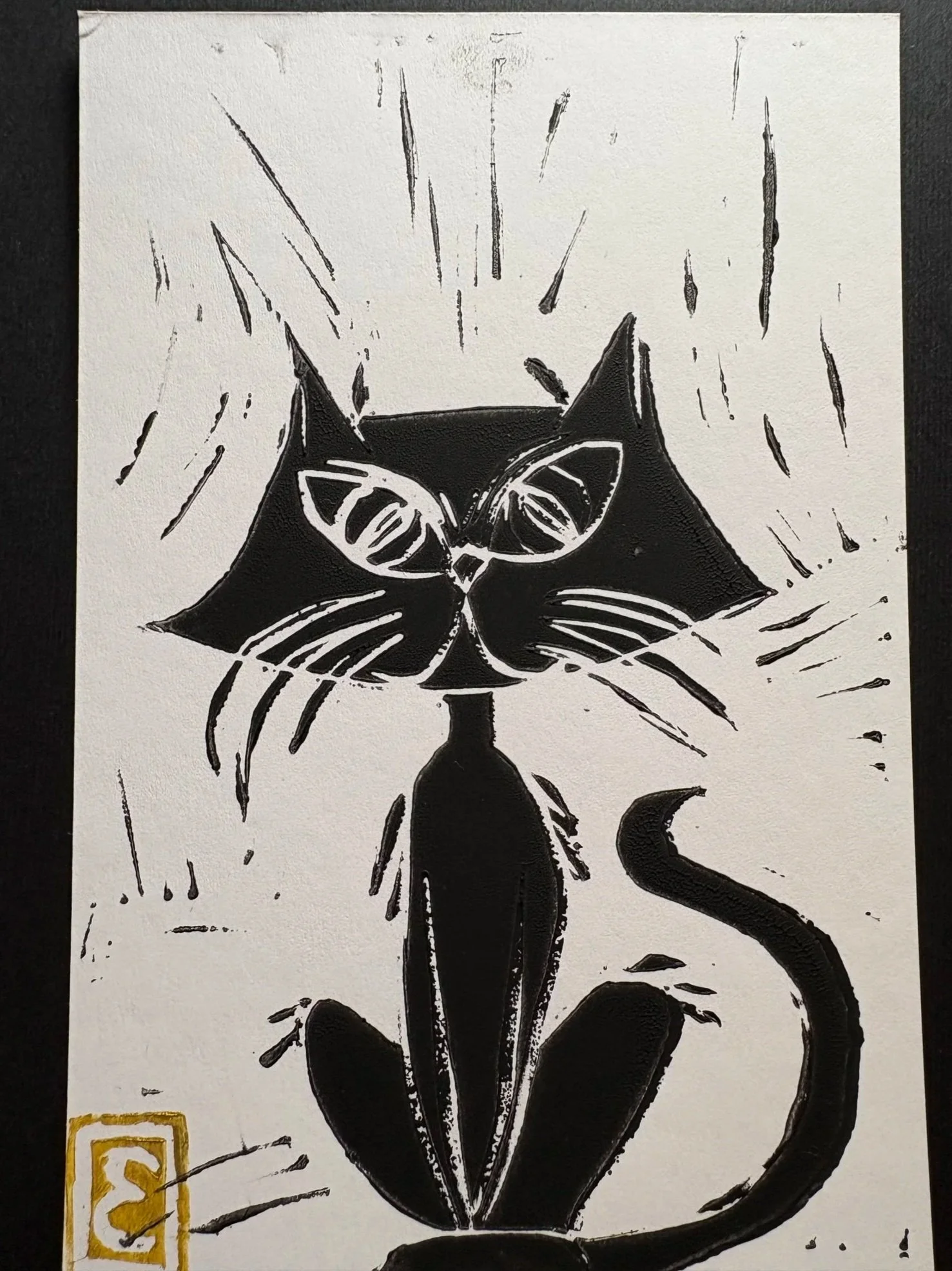 Oracle Cool Cat