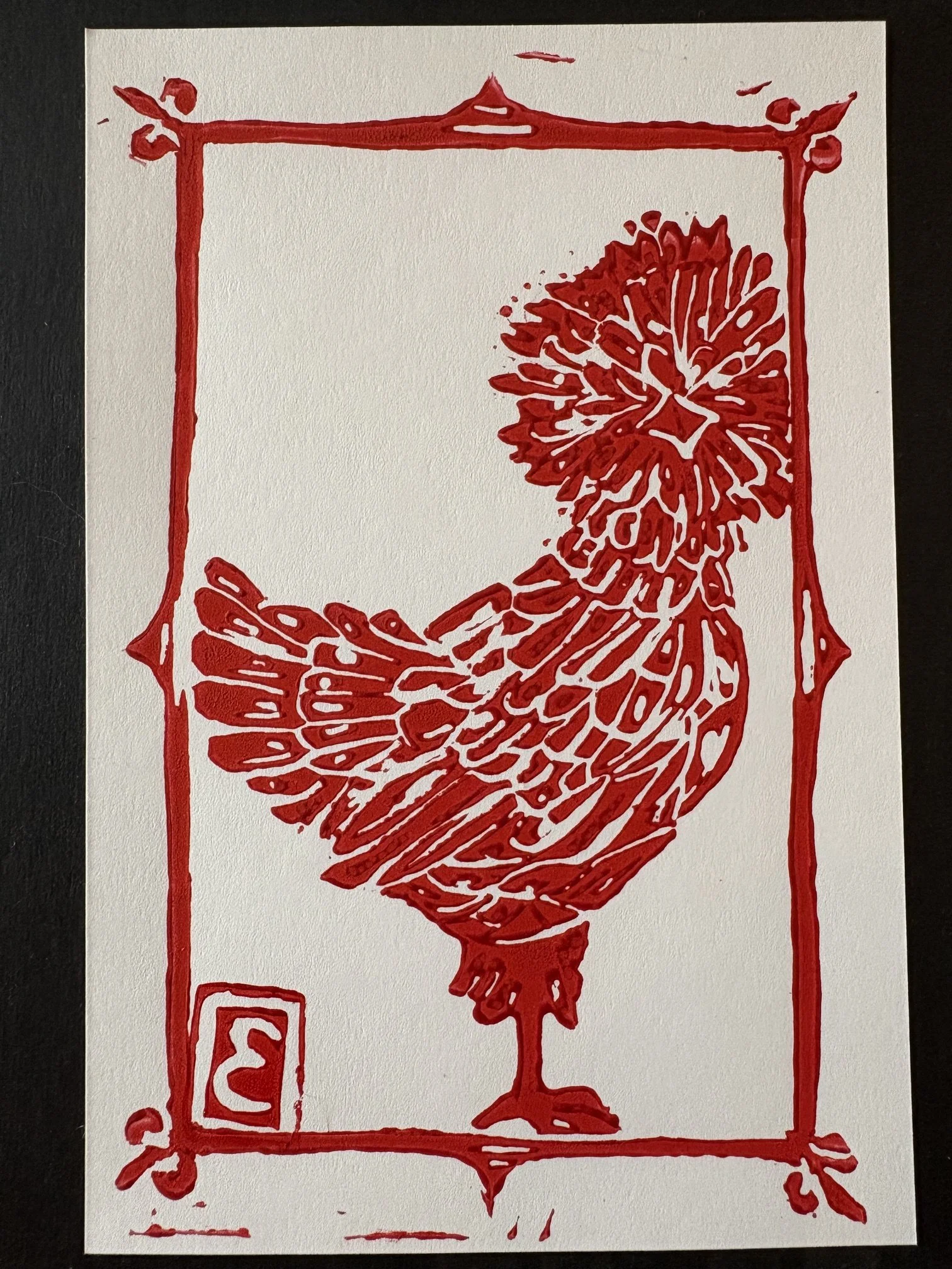 The Life of a Wild Chicken