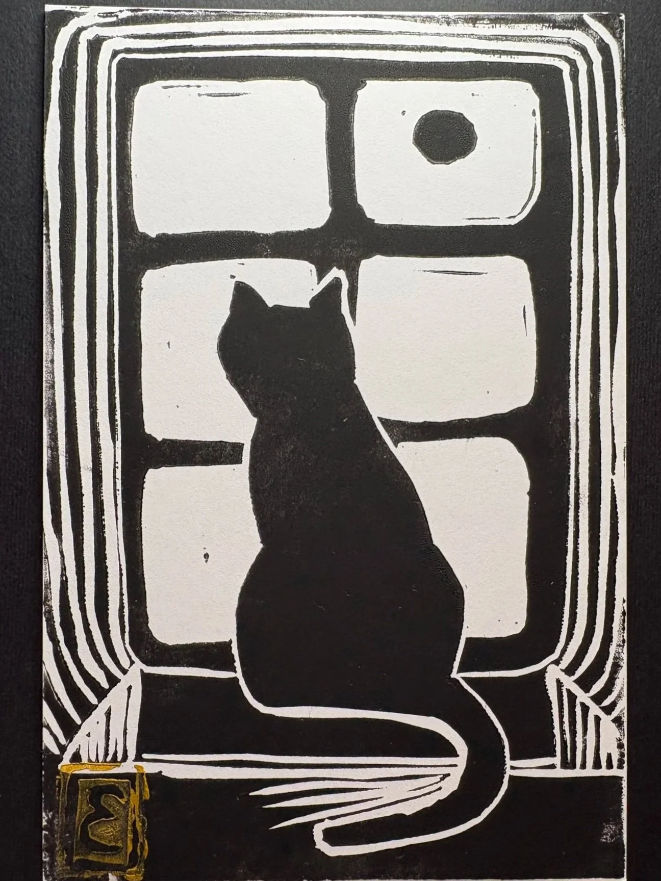 The Gazing Oracle Cat