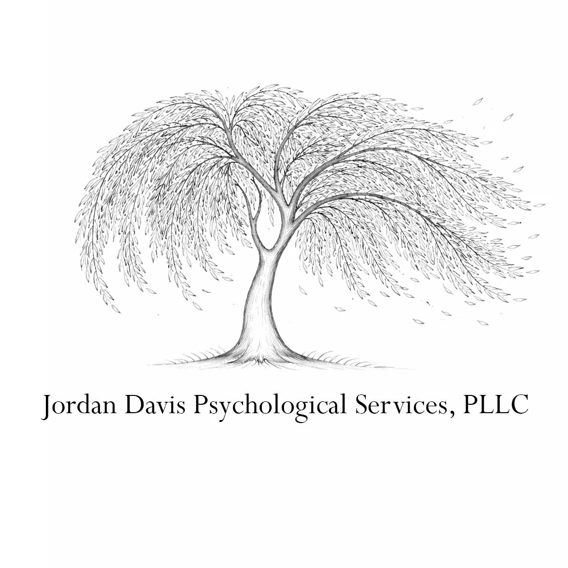 Jordan Davis Psychological Services, PLLC
