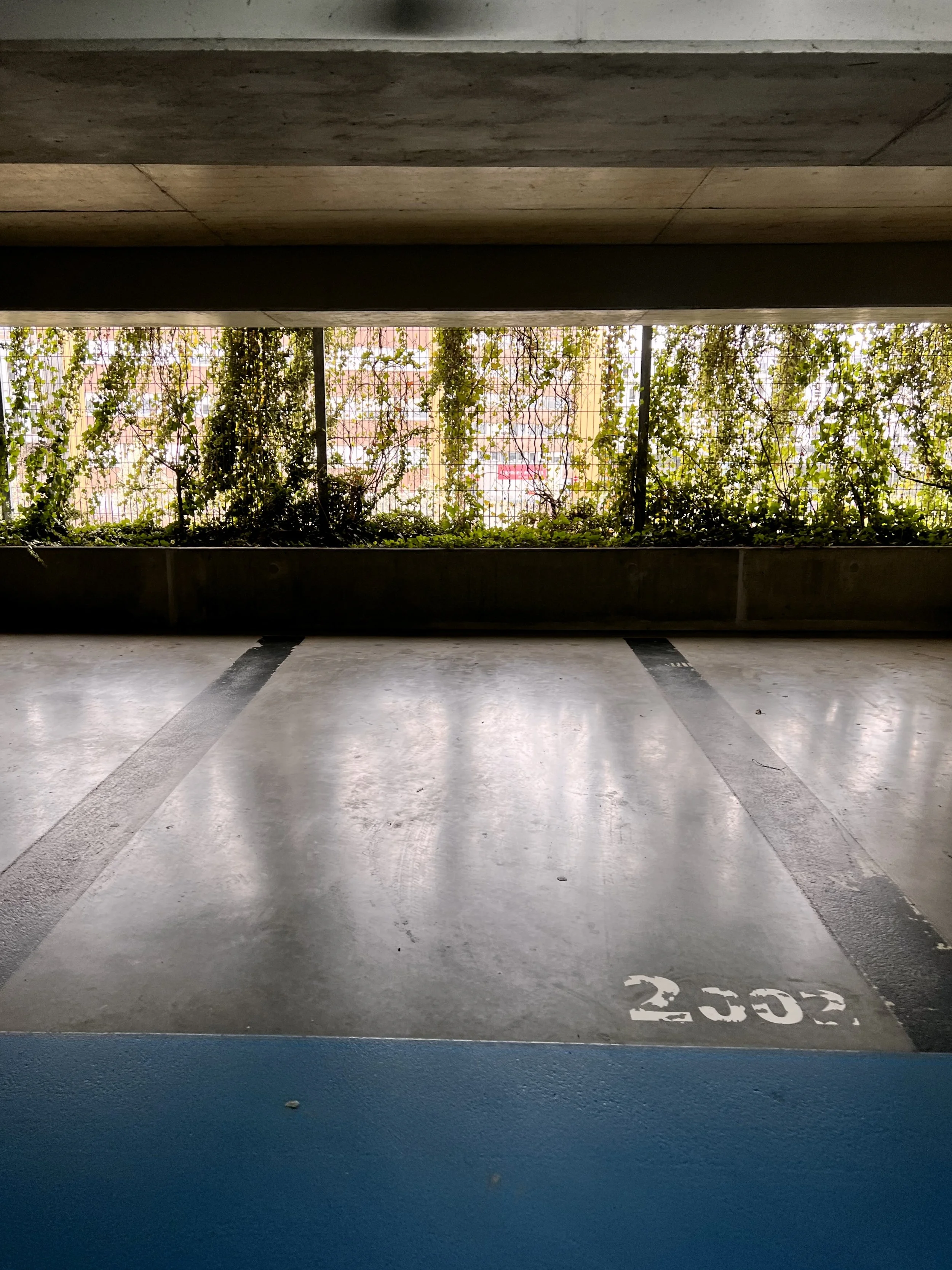 Un parking souterrain avec un espace réservé à la numéro 2502, des lignes de stationnement vides et une clôture avec des feuilles vertes décorant la partie supérieure.