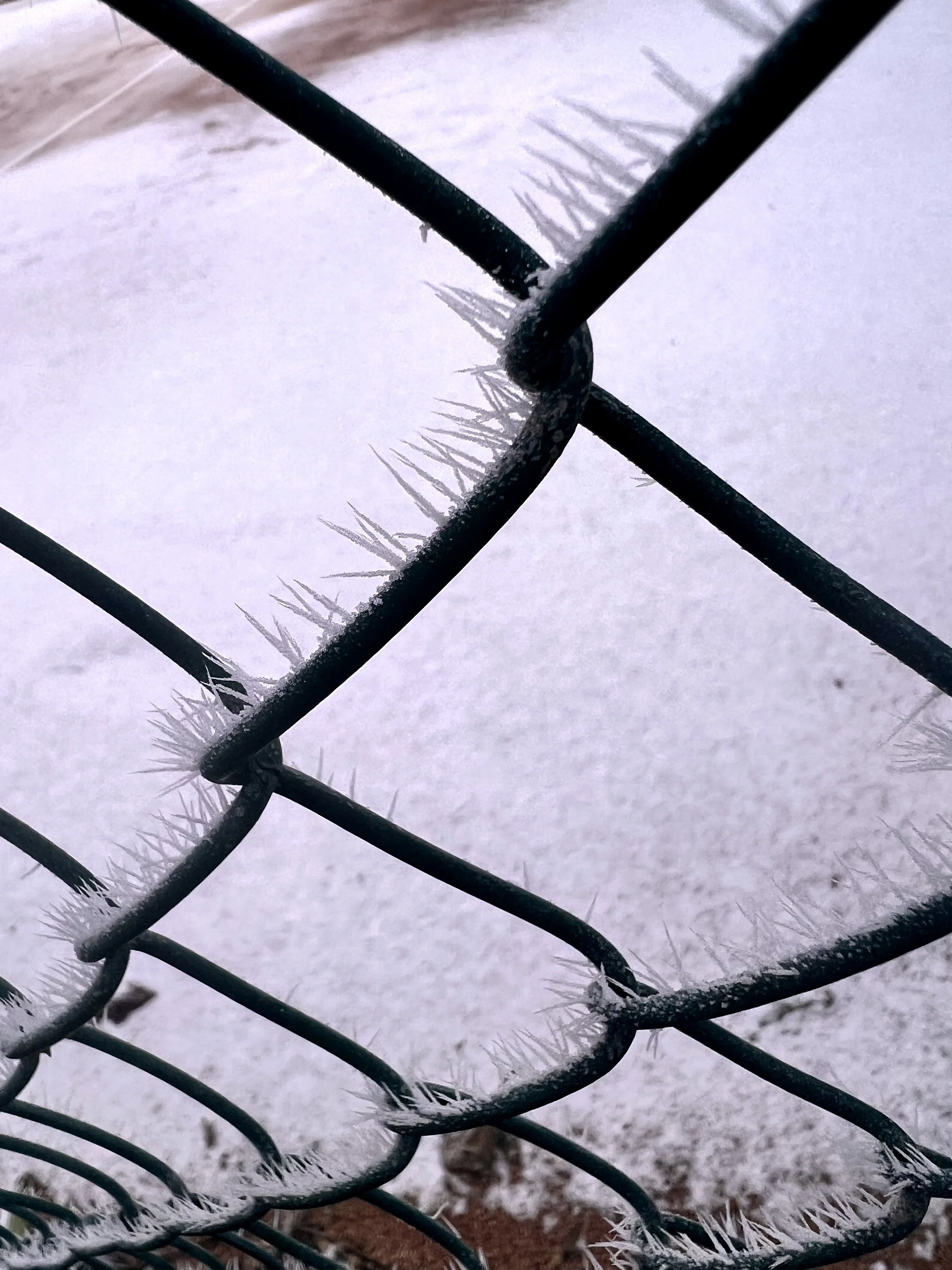 Givre et glace sur une clôture en métal dans un environnement enneigé.