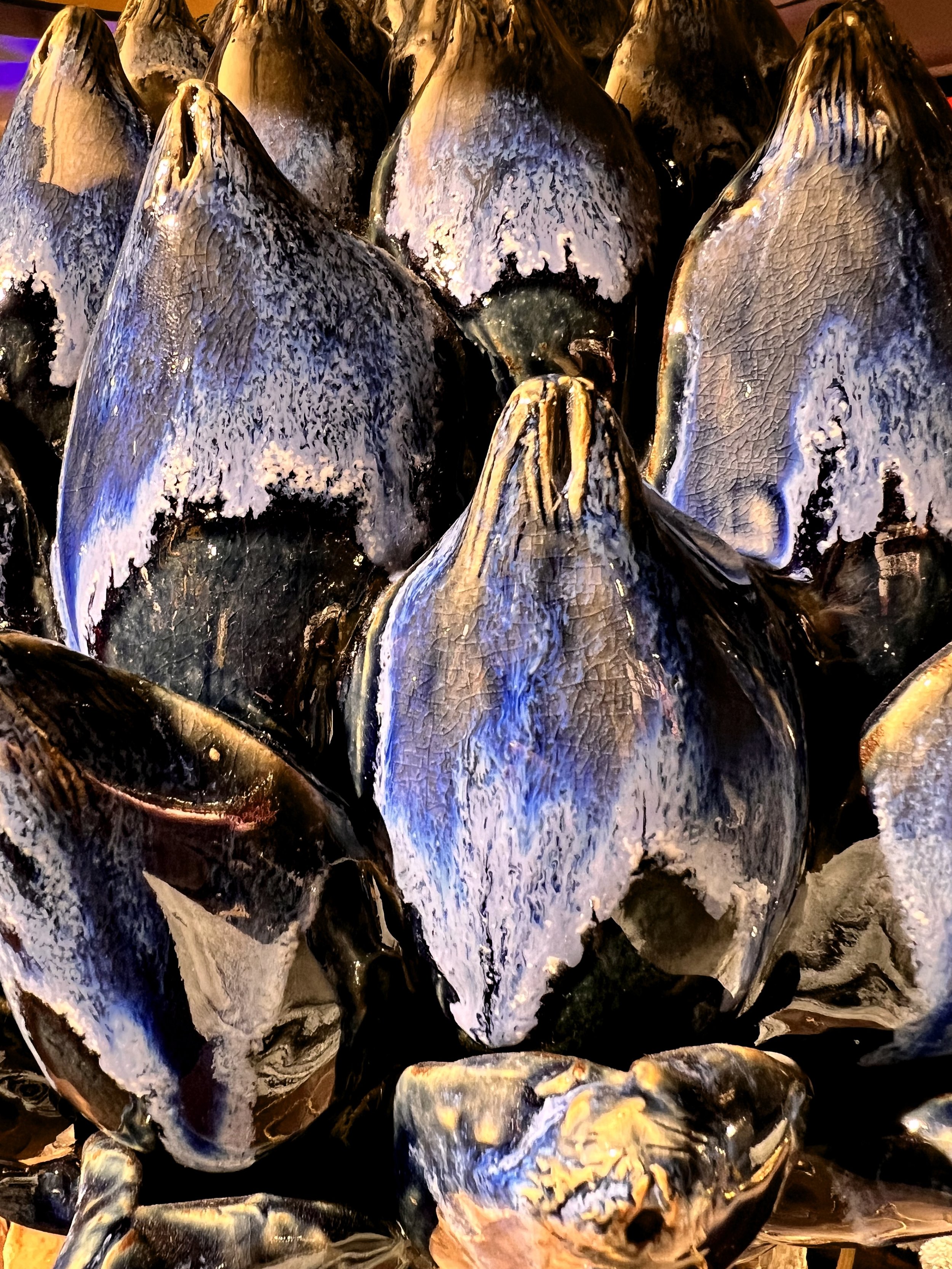 Coquilles d'huîtres ouvertes en gros plan, montrant la texture de l'intérieur et l'extérieur des coquilles.