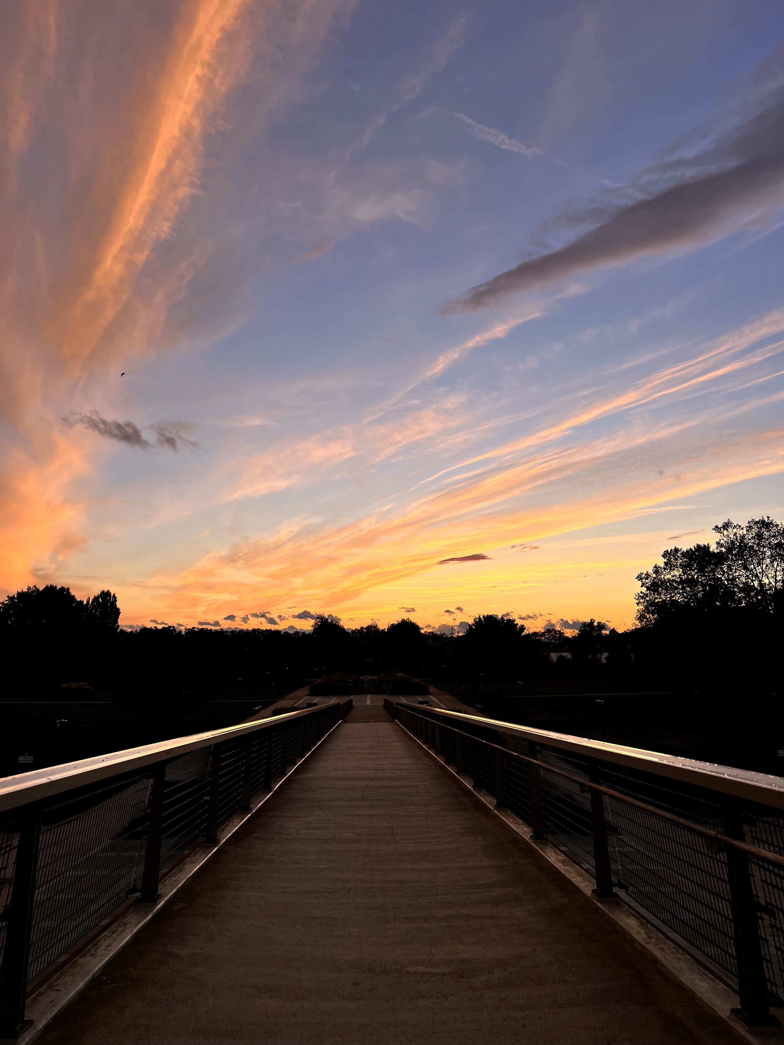 Un pont en bois avec une rambarde en métal s'étend vers un horizon avec un ciel en coucher de soleil coloré, des arbres en silhouette en arrière-plan.