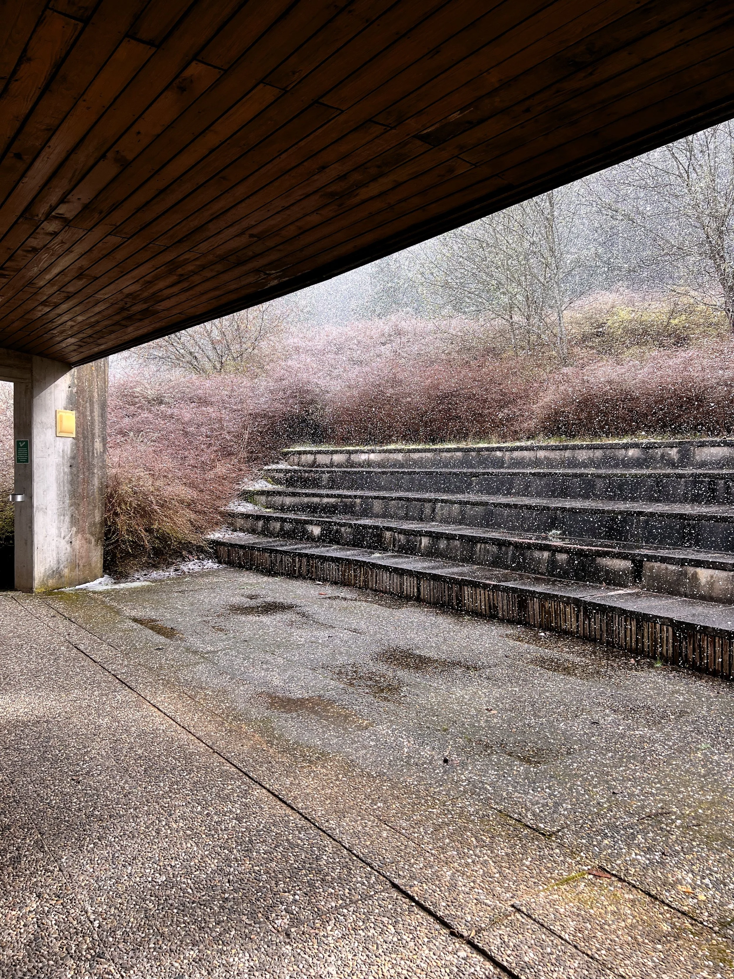 Espace sous un abri avec sol en béton, escaliers en métal, arbustes et arbres en arrière-plan, et pluie.