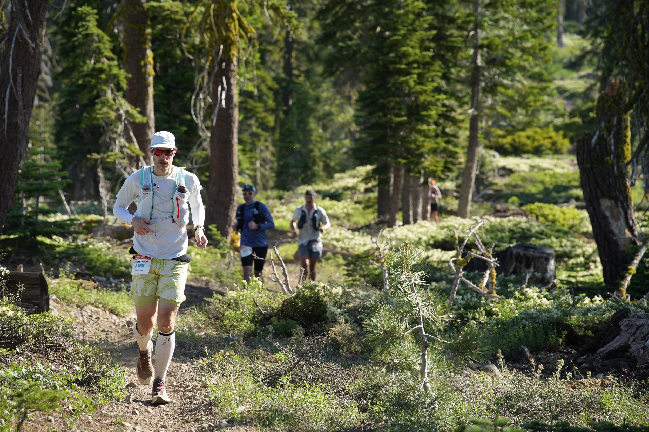 Christian Reimers läuft beim Western States Endurance Run durch einen Nadelwald im High Country von Kalifornien.