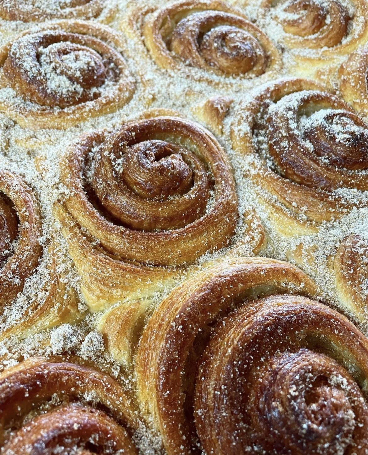 Cinnamon swirl