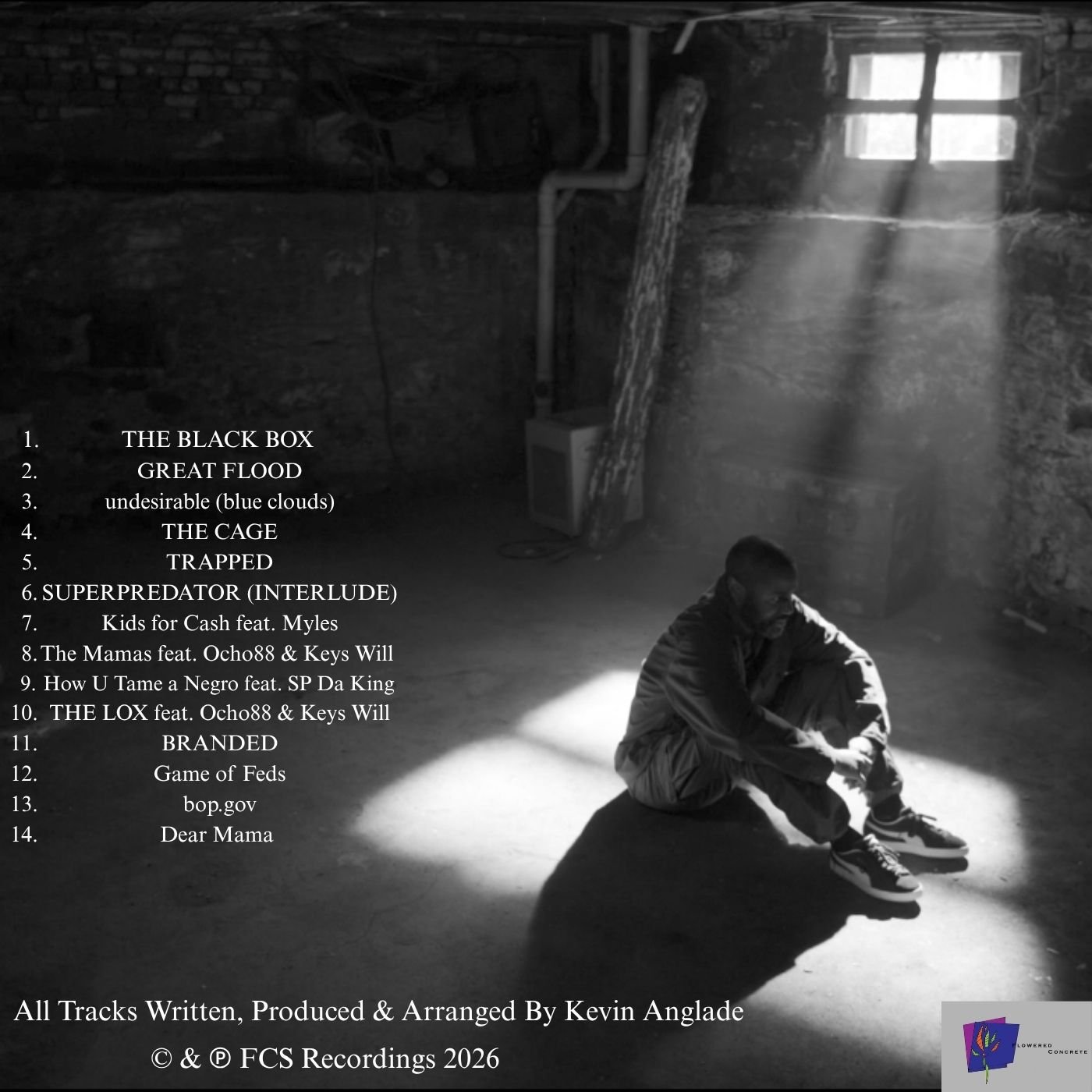 THE BLACK BOX-BACK.jpg