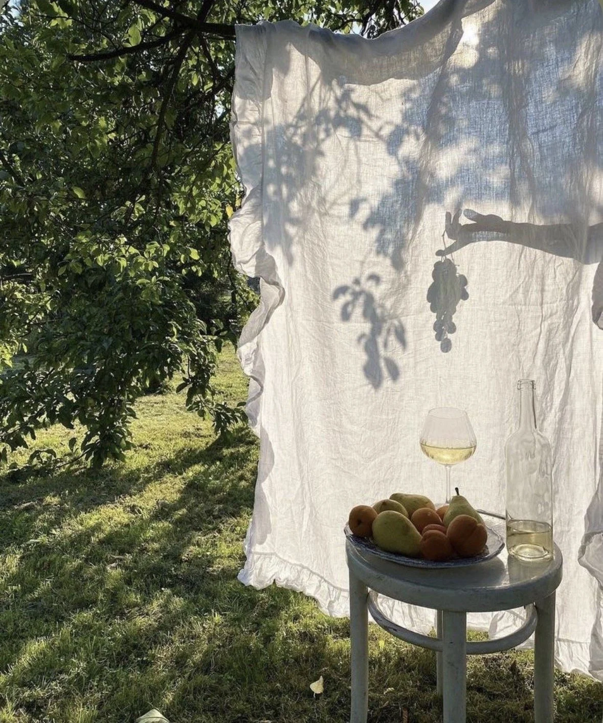 A white cloth hanging in a garden, casting a shadow of a bunch of grapes and a person's hand reaching for the grapes. In front, a small stool holds a bowl of assorted peaches and pears, a glass of white wine, and a clear bottle.