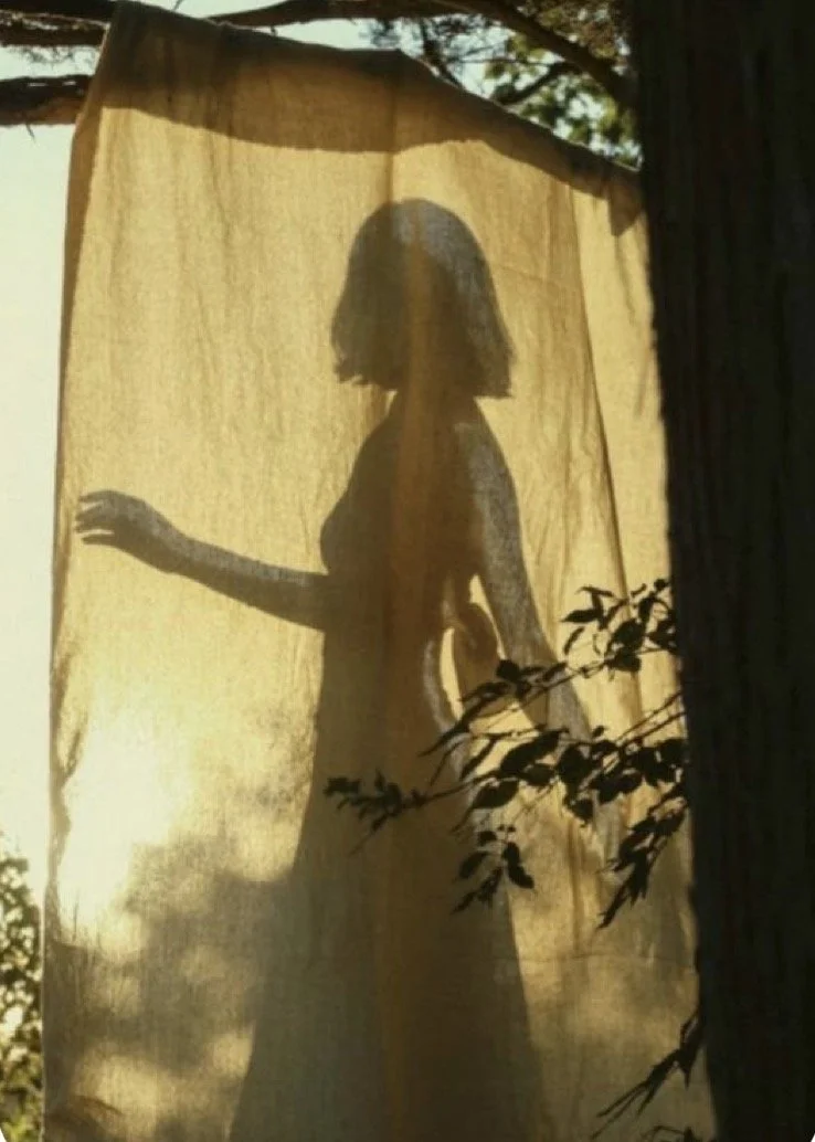 Silhouette of a woman with short hair standing behind a light-colored curtain with sunlight shining through, casting her shadow onto the fabric. The scene is outdoors, with tree branches and leaves visible.