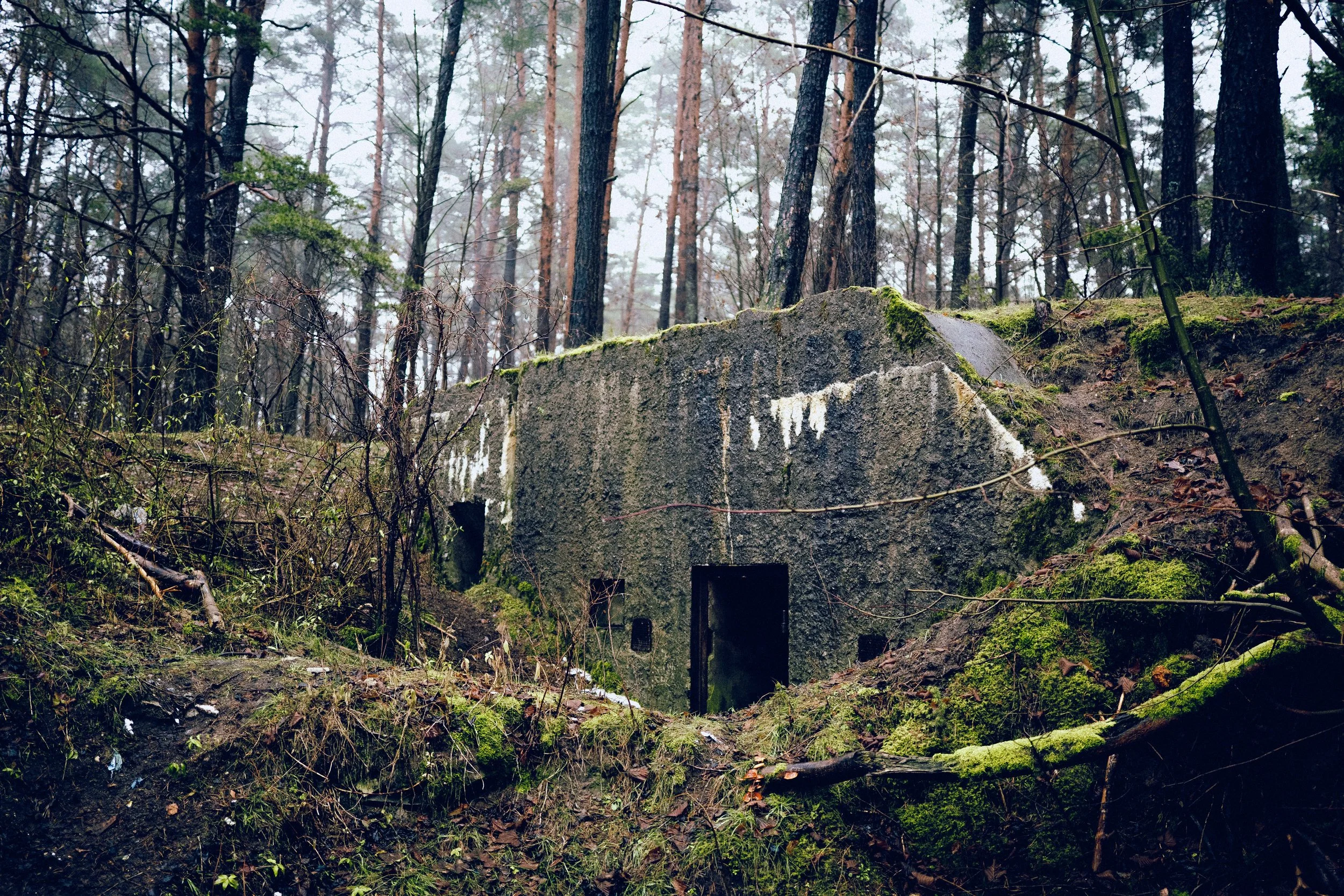 Pourquoi investit-on à nouveau dans des bunkers ?