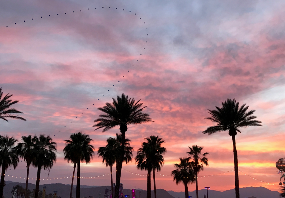 My First Coachella 