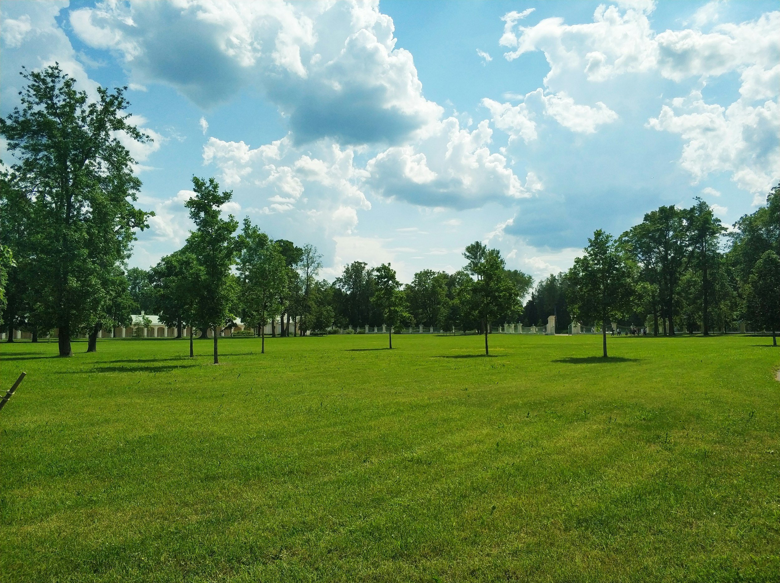 A wide open green grassy field with tall trees and a clear sky with scattered clouds.