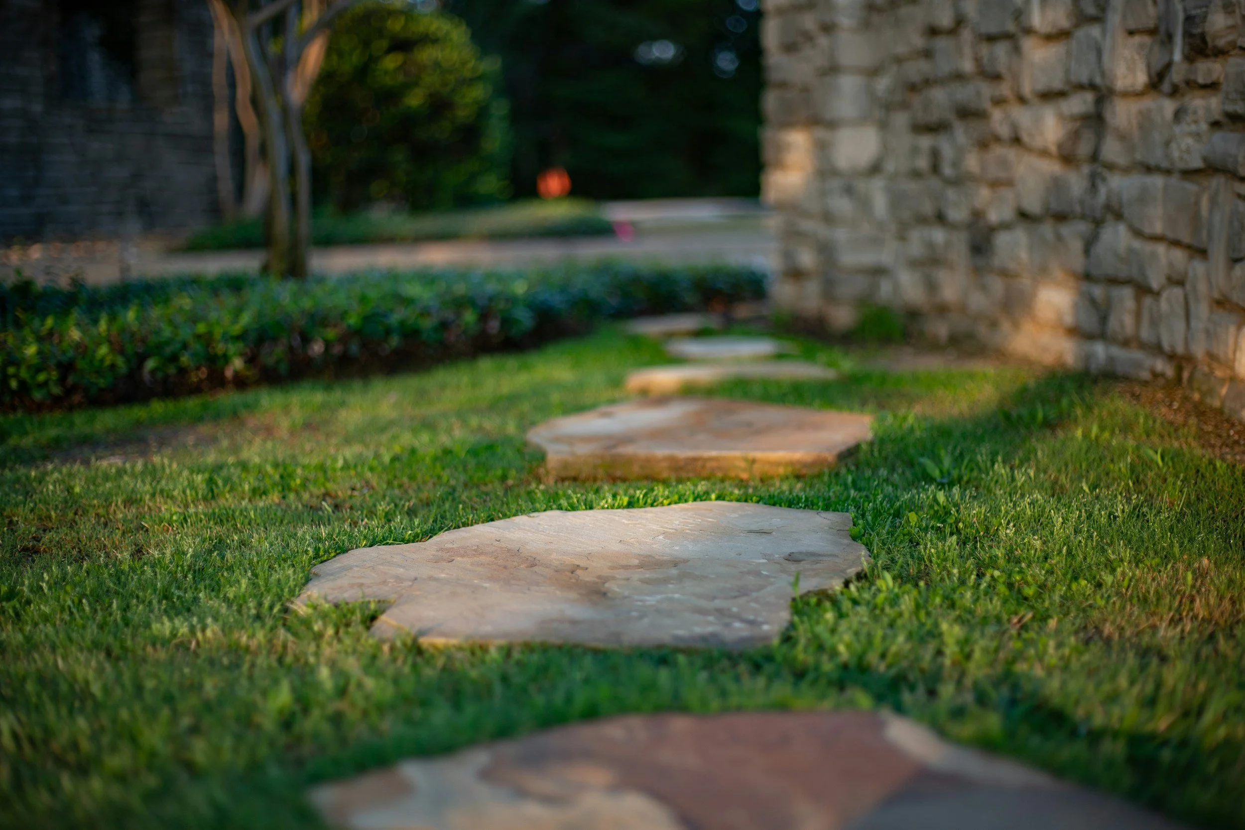 Give your yard a sweet touch!