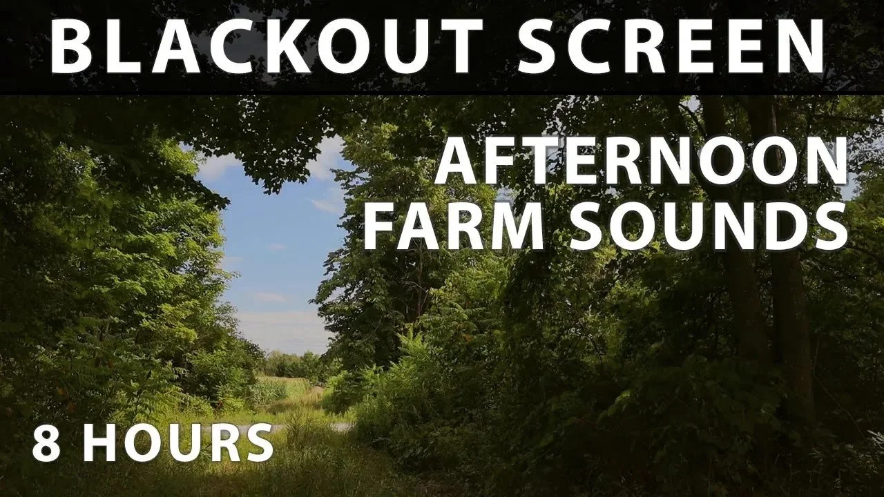 Afternoon Farm Sounds - 8 Hour Sleep Sounds