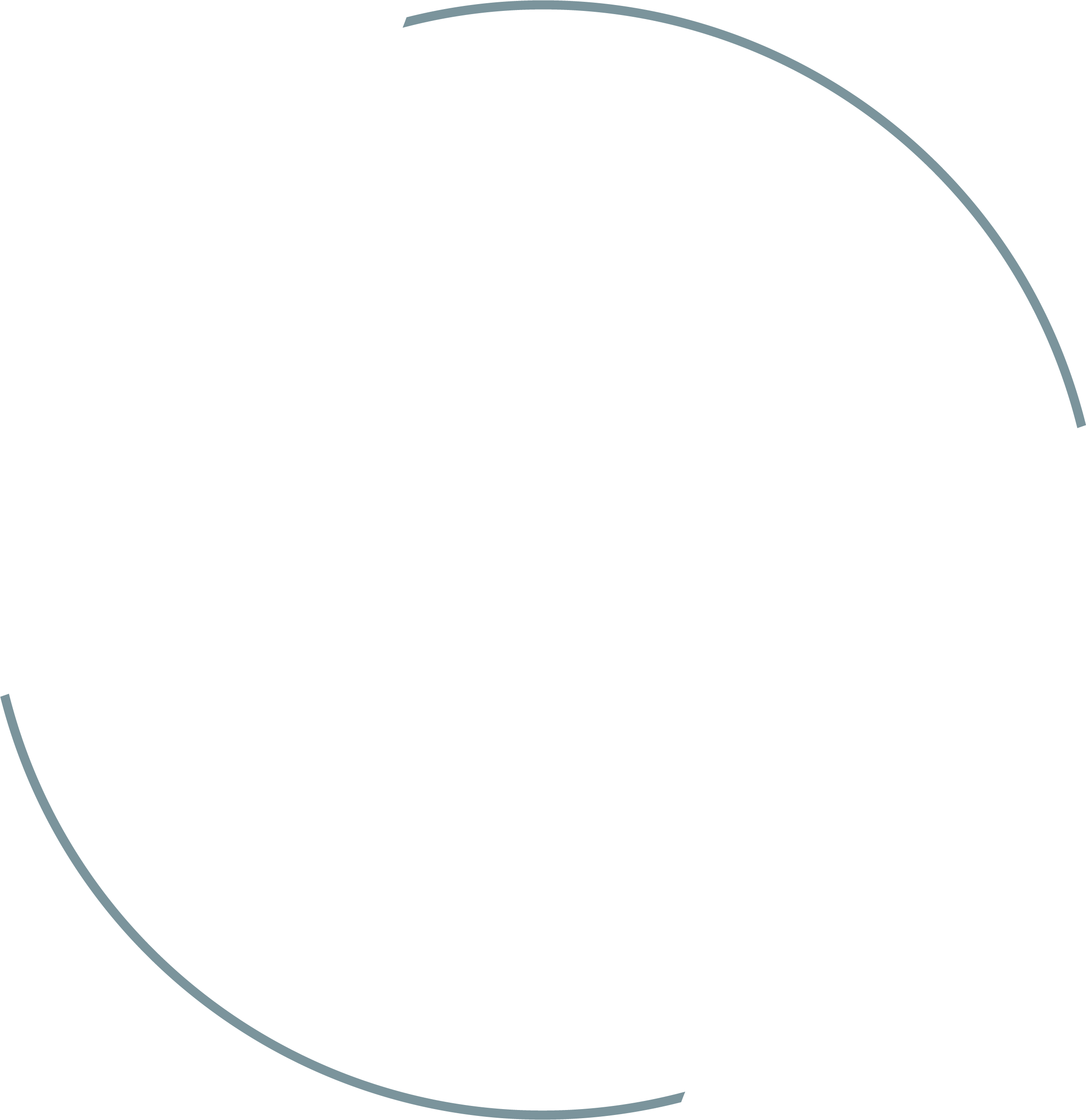 Diagram showing Earth's movement around the Sun with labels indicating the different seasons: winter, spring, summer, and fall.