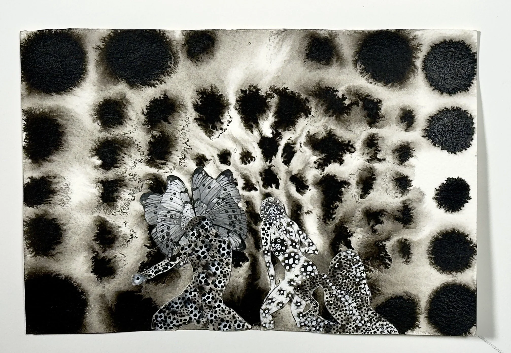 Untitled 13